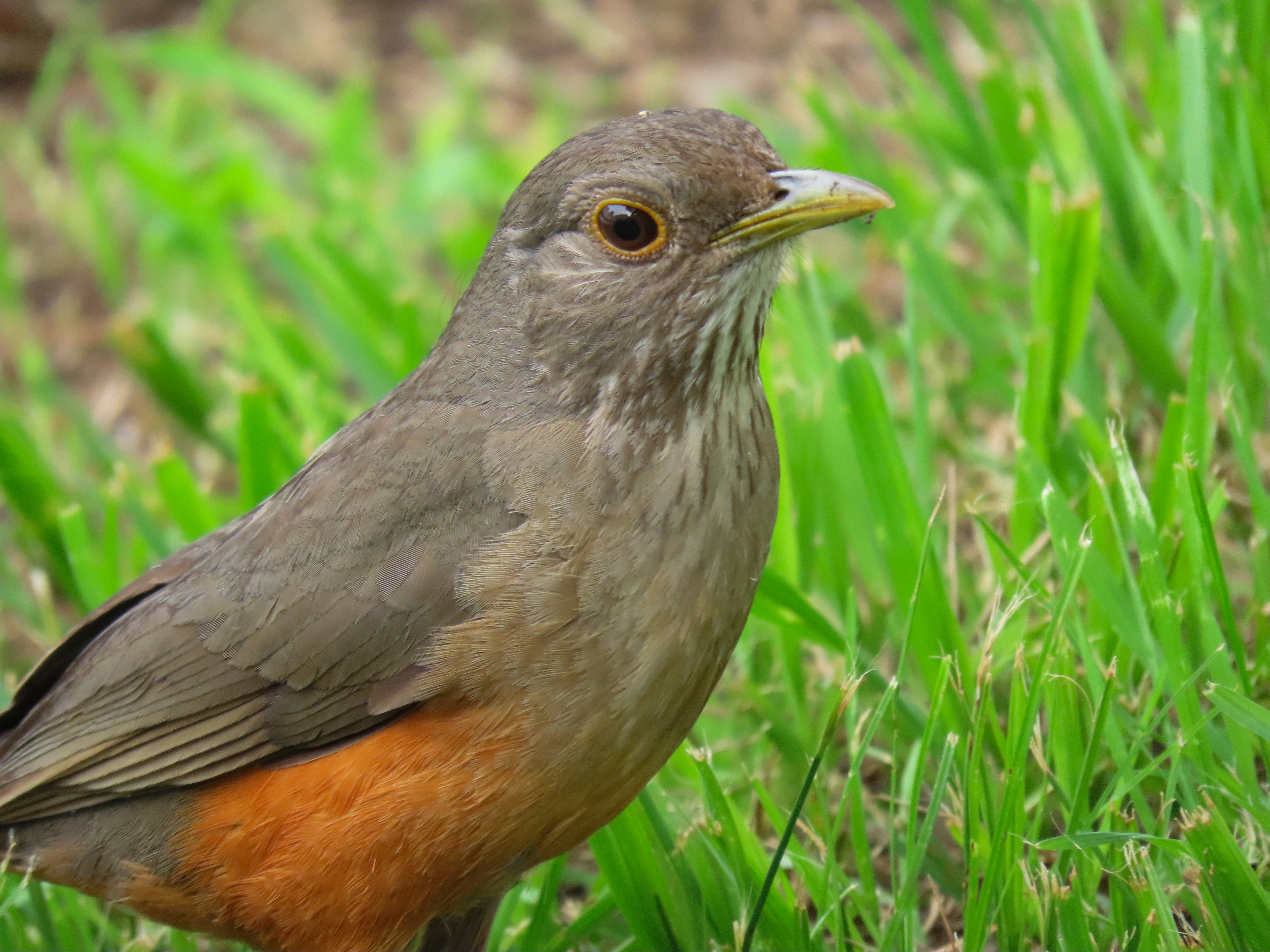 Photo by patricianicoloso