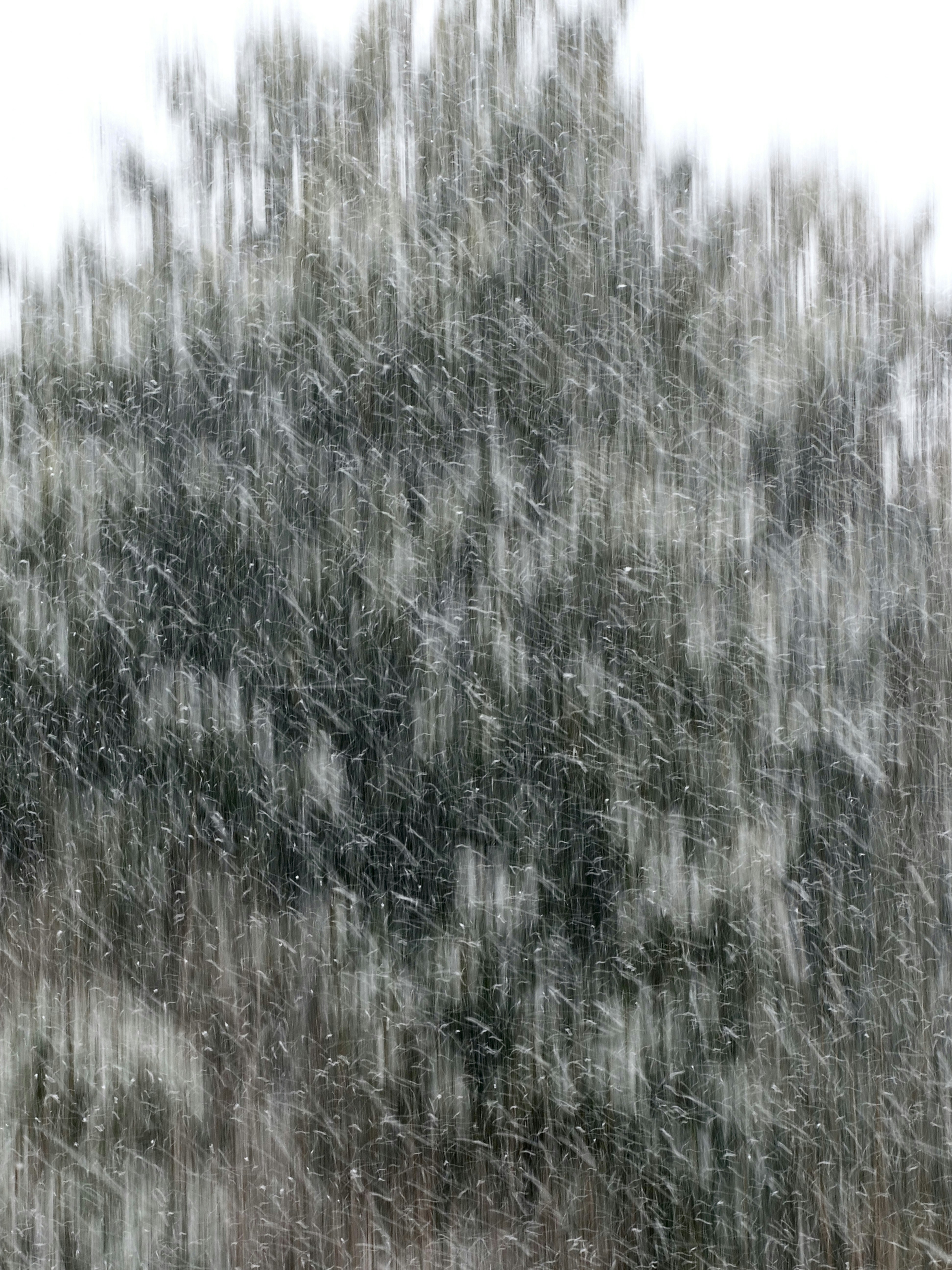 Photo by sschusterphotoart