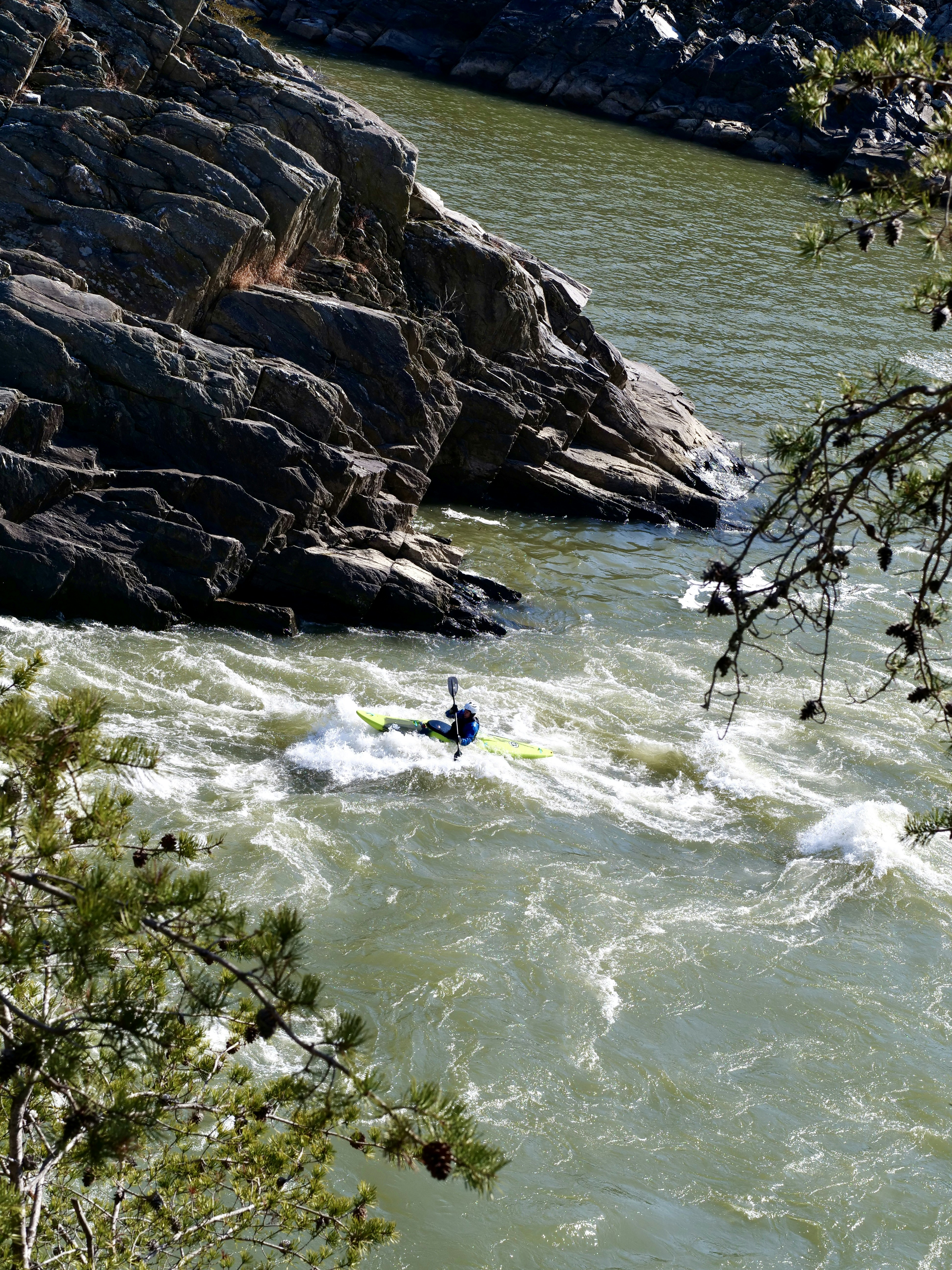 Photo by sschusterphotoart