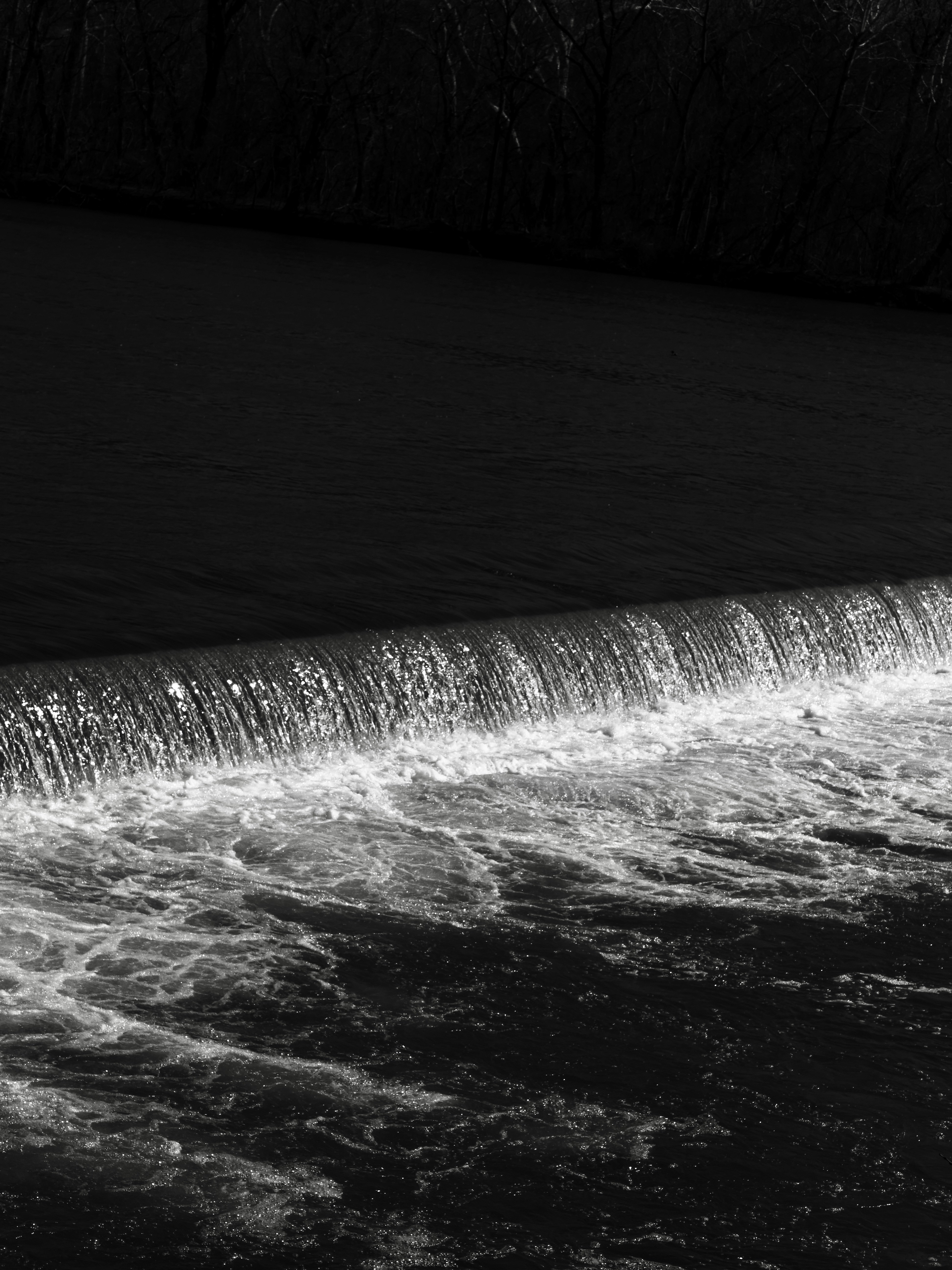 Photo by sschusterphotoart