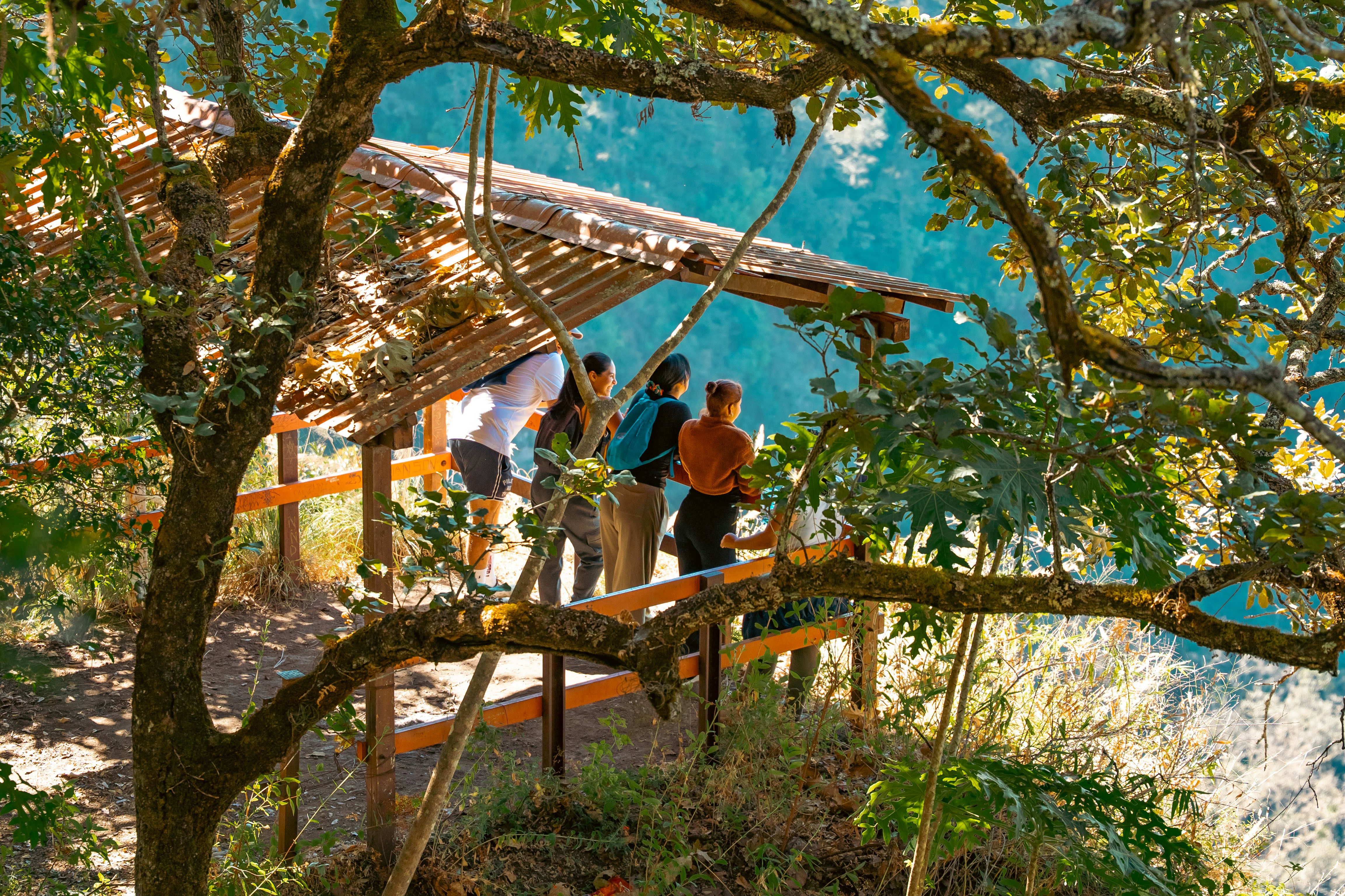 Elegant perfume bottles