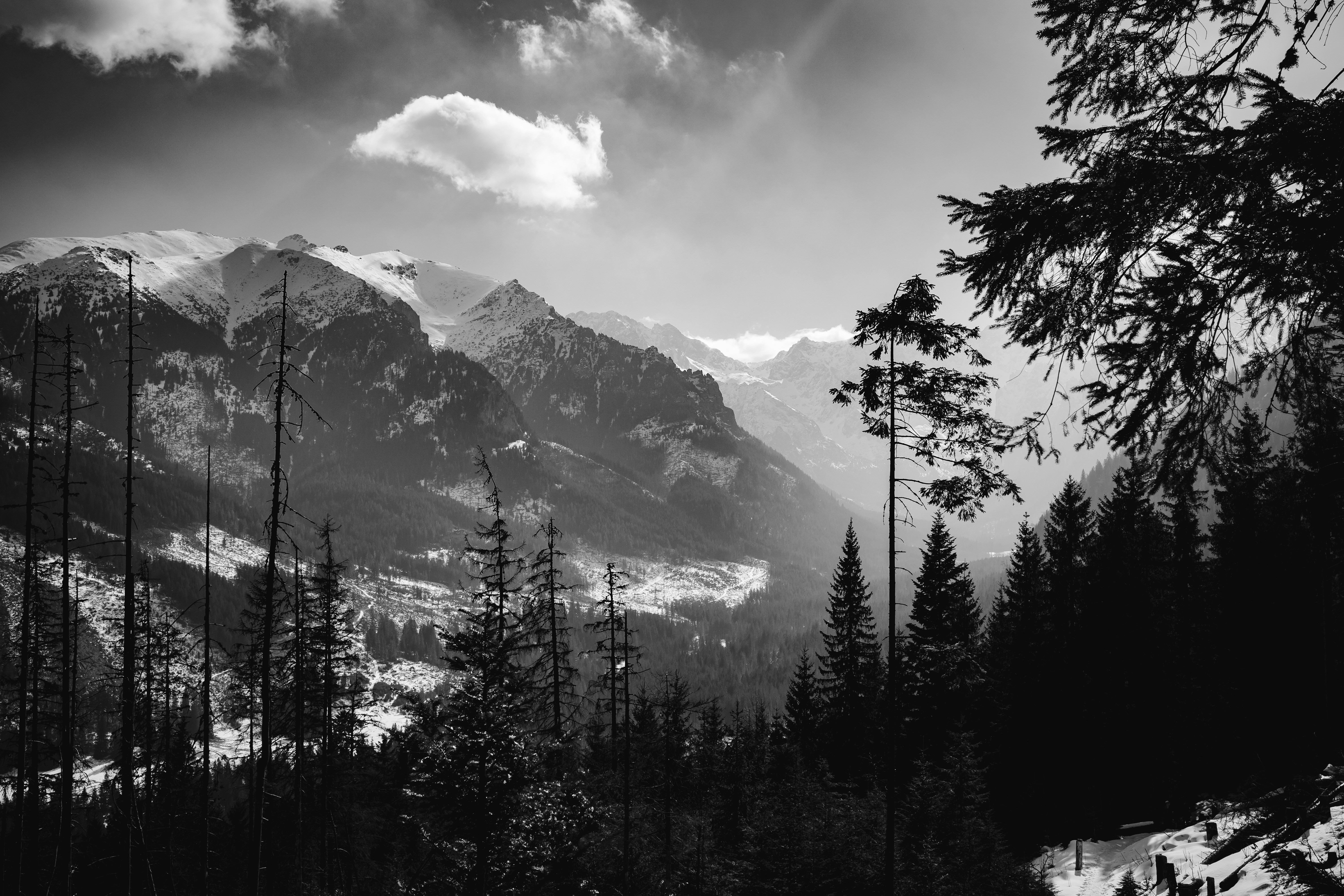 Photo by aleximagine