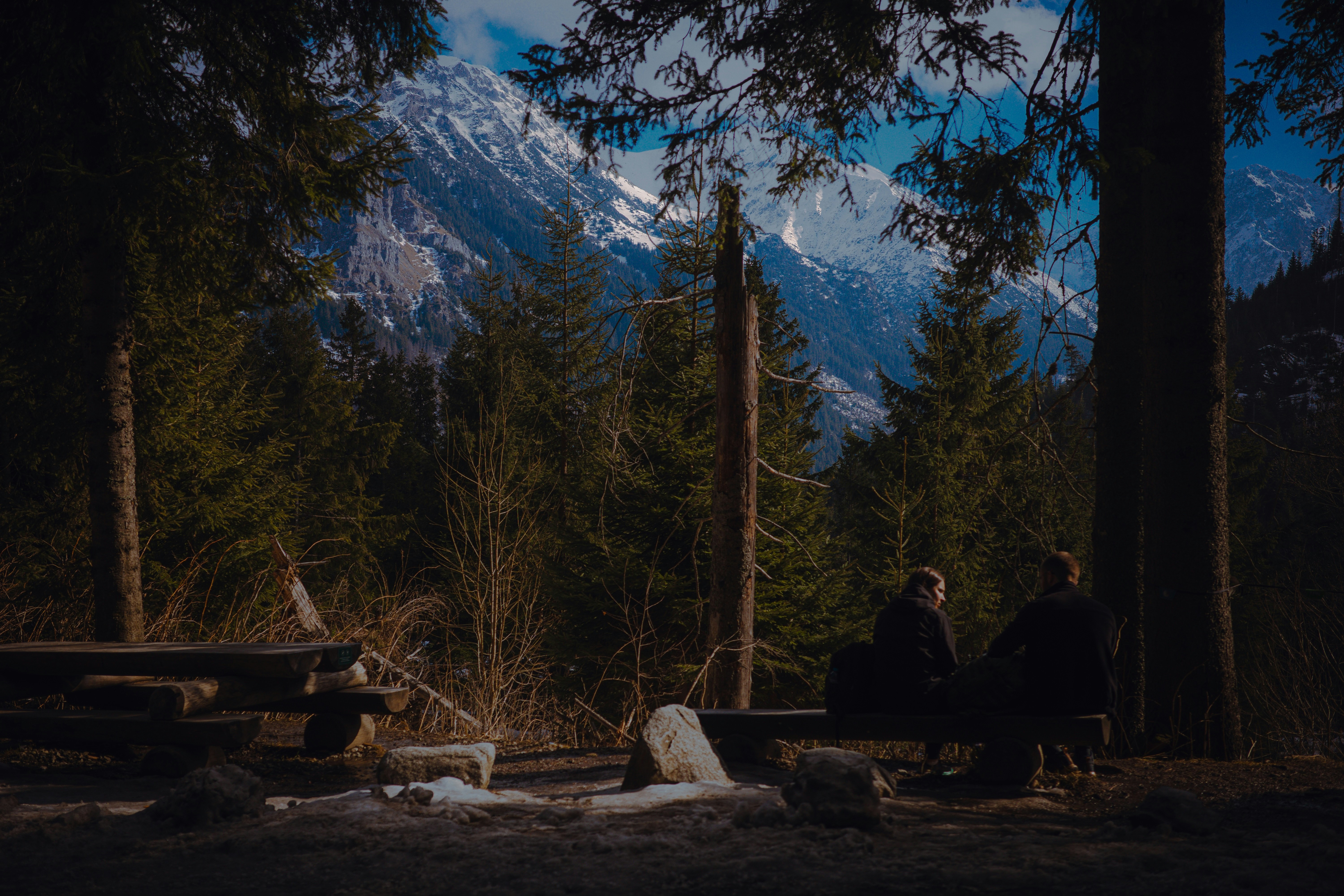 family camping forest landscape, wallpaper, Camping with Kids: Essential Tips for Your First Trip 3