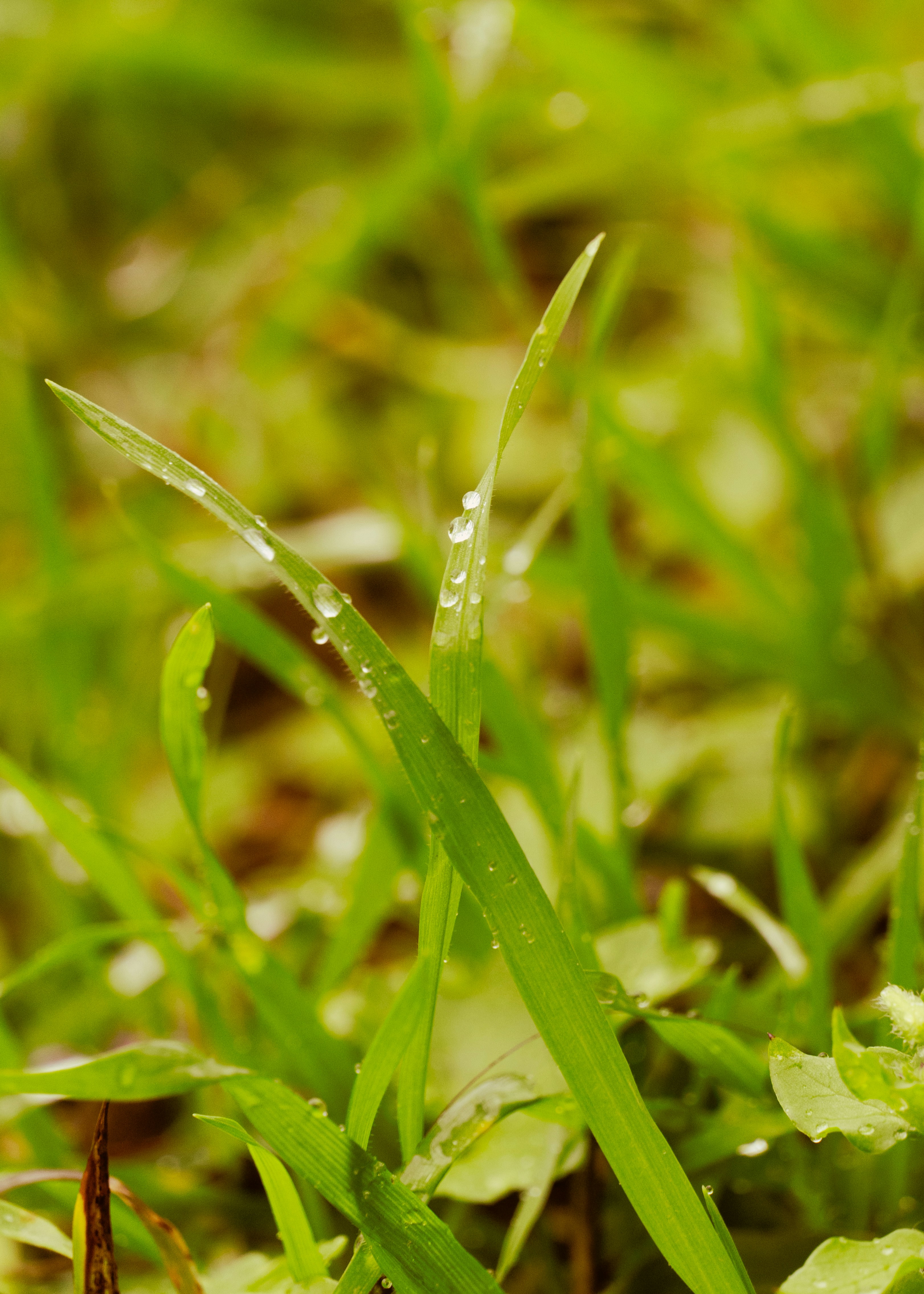 Photo by nishatsamadzai2001