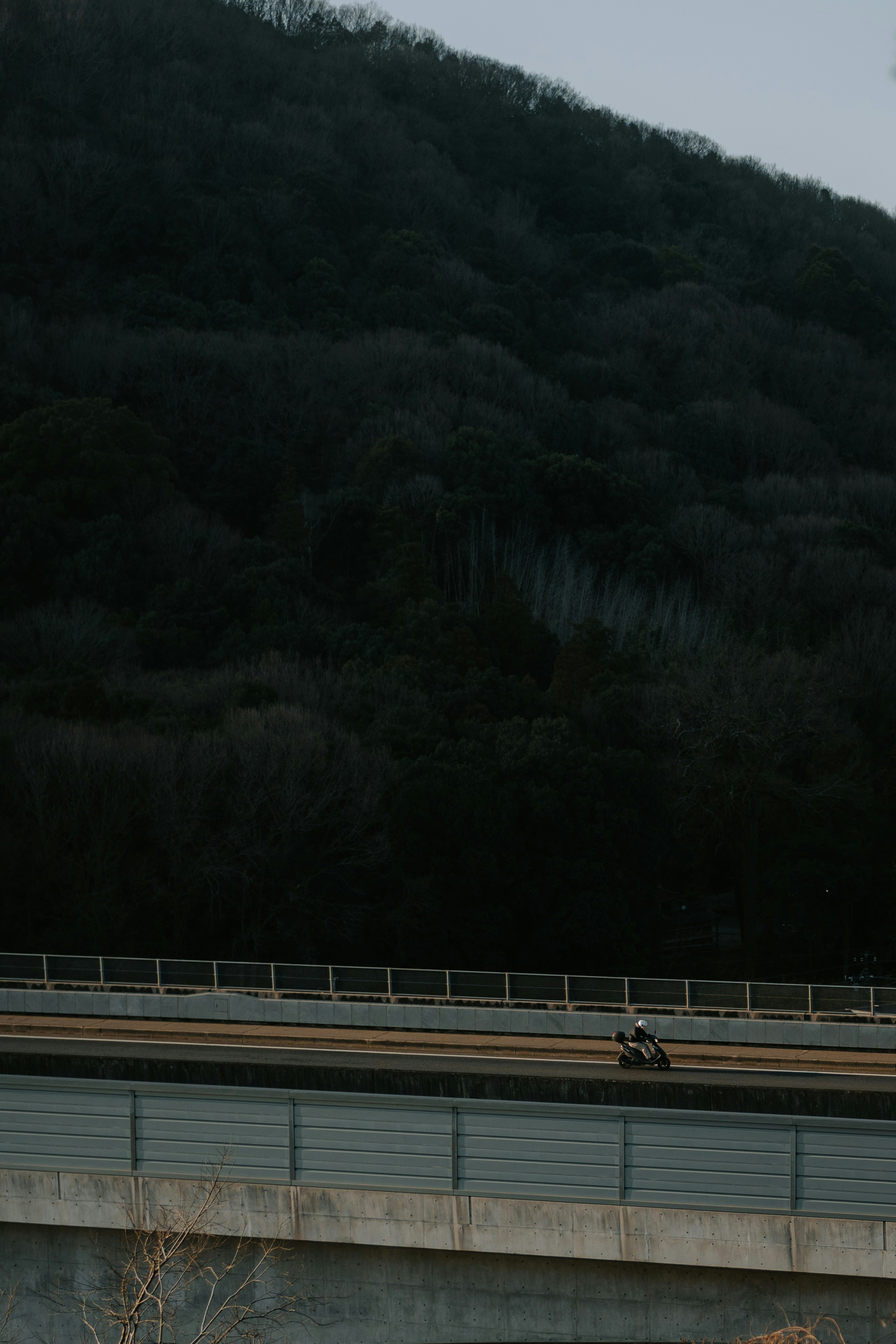 Motorcyclist on a highway with dark forest background
