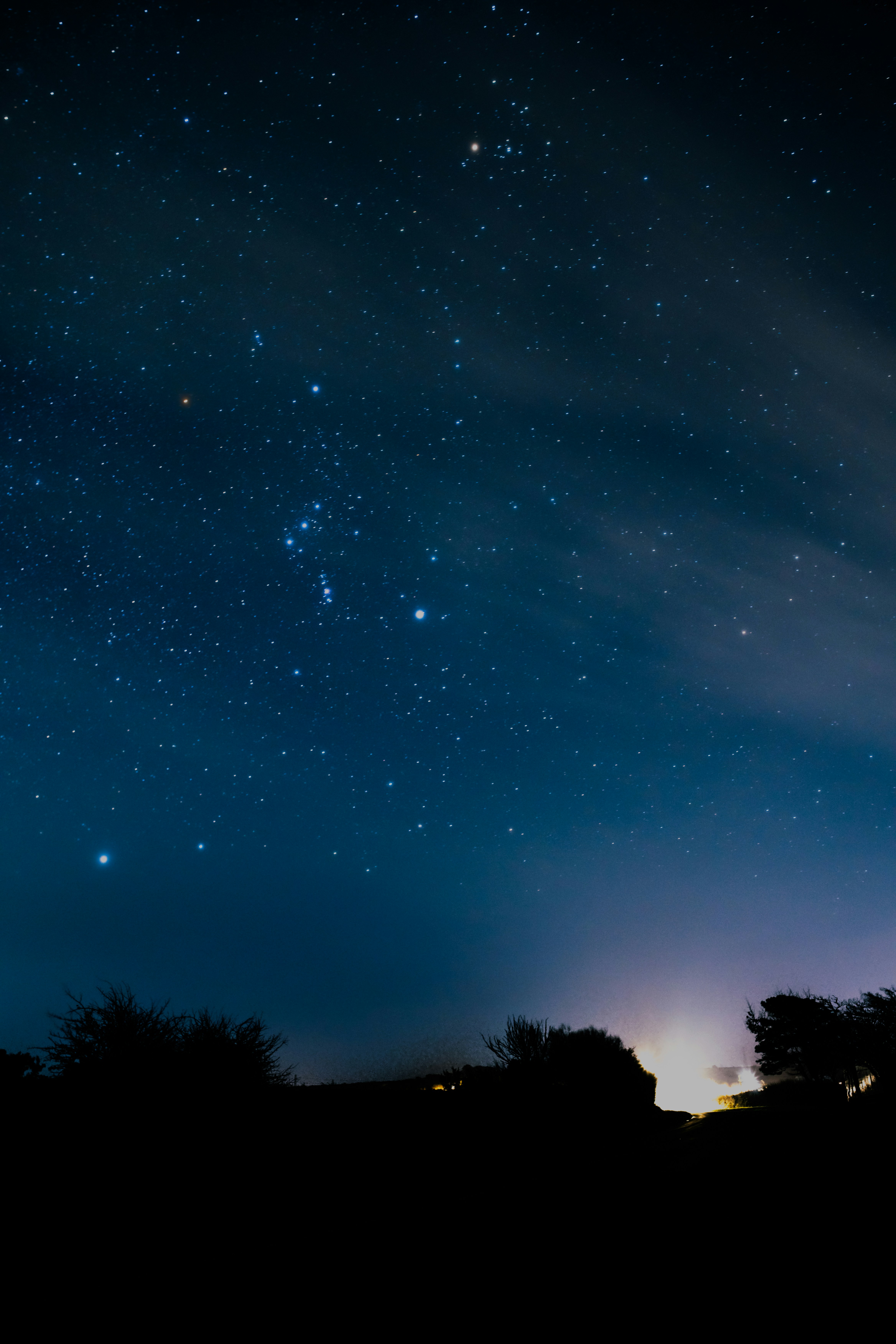 Photo by winstontjia