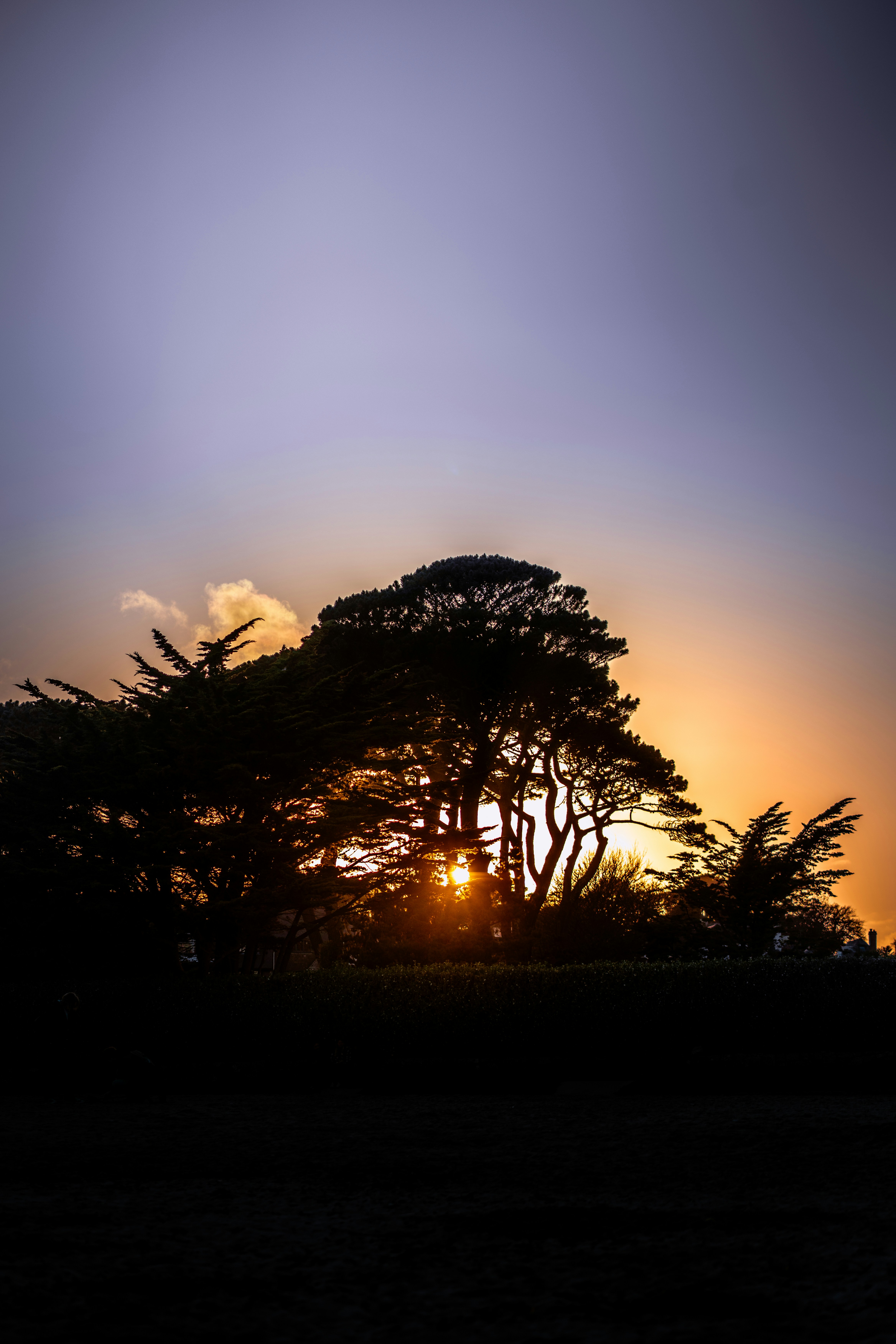 Photo by winstontjia