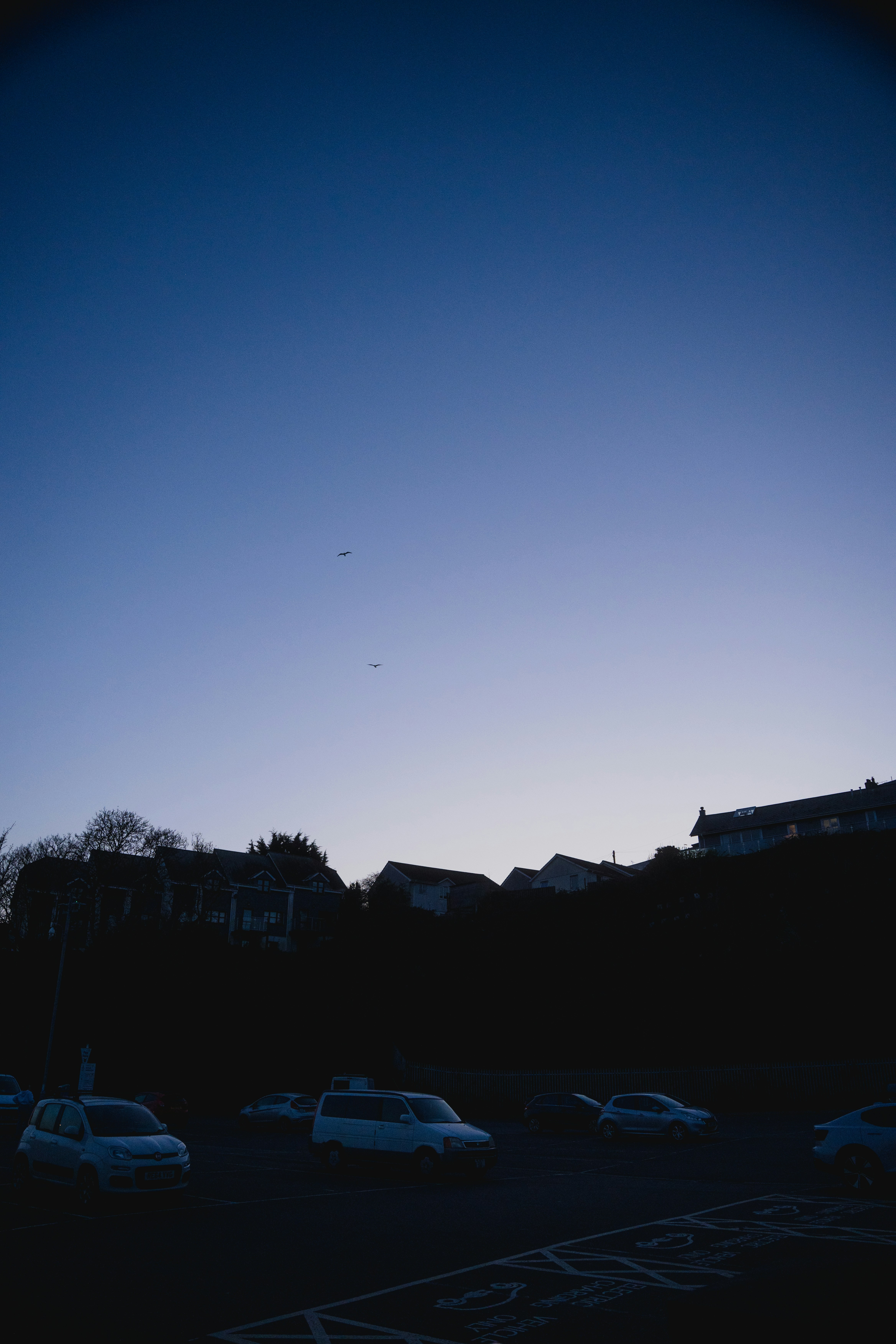 Martha Brae and the Luminous Lagoon - Natural Wonders That Define Falmouth