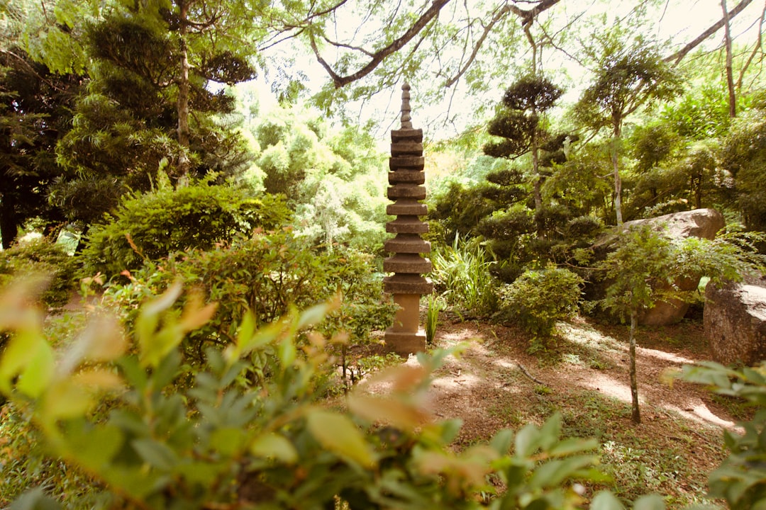 관련 이미지