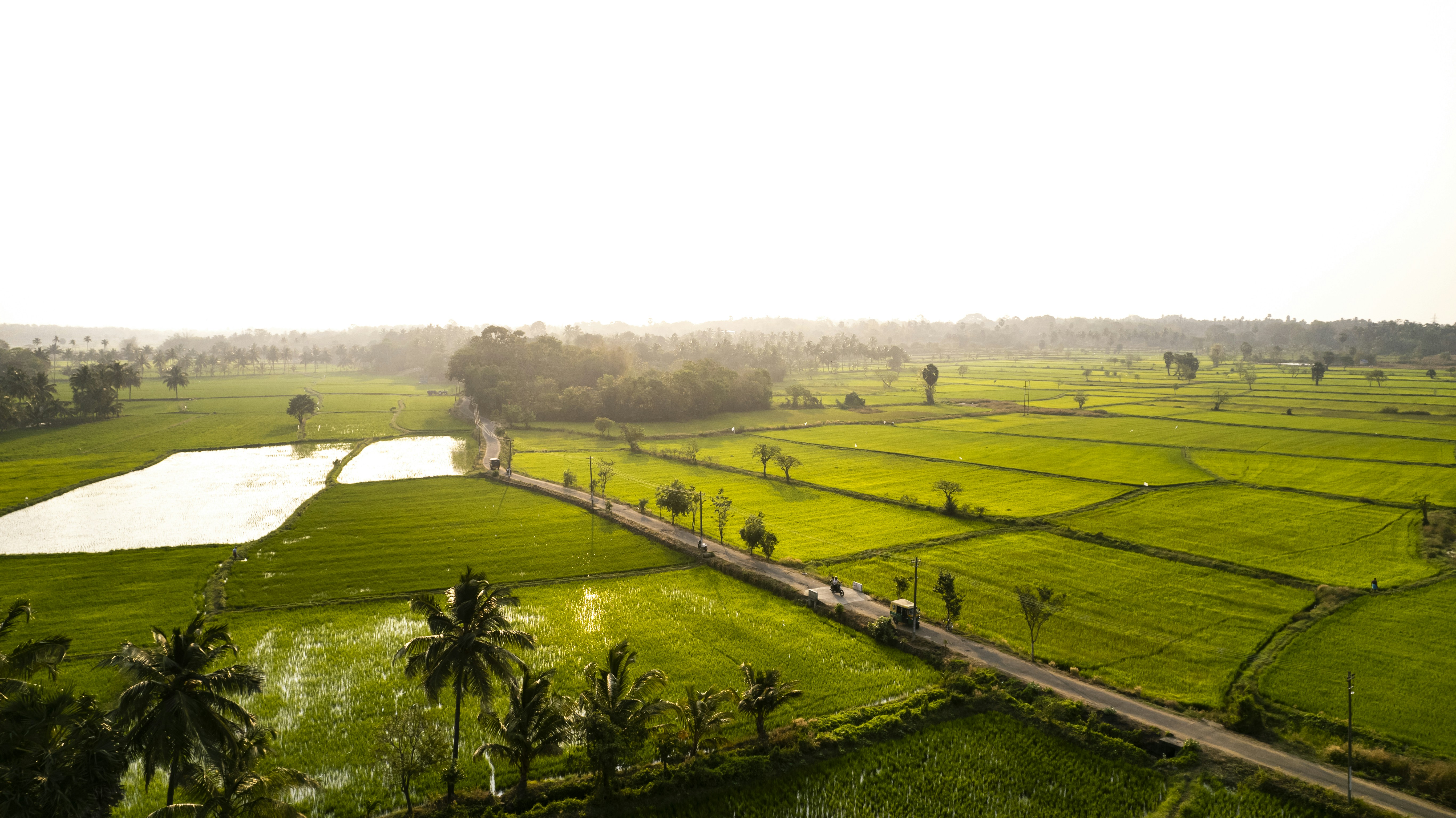 Visa Requirements for Palakkad, India (2026)