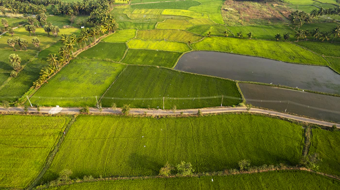 Agricultural fields with water channels from above