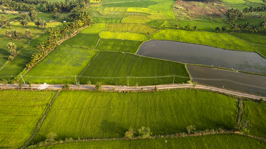 Crop acreage and condition assessment