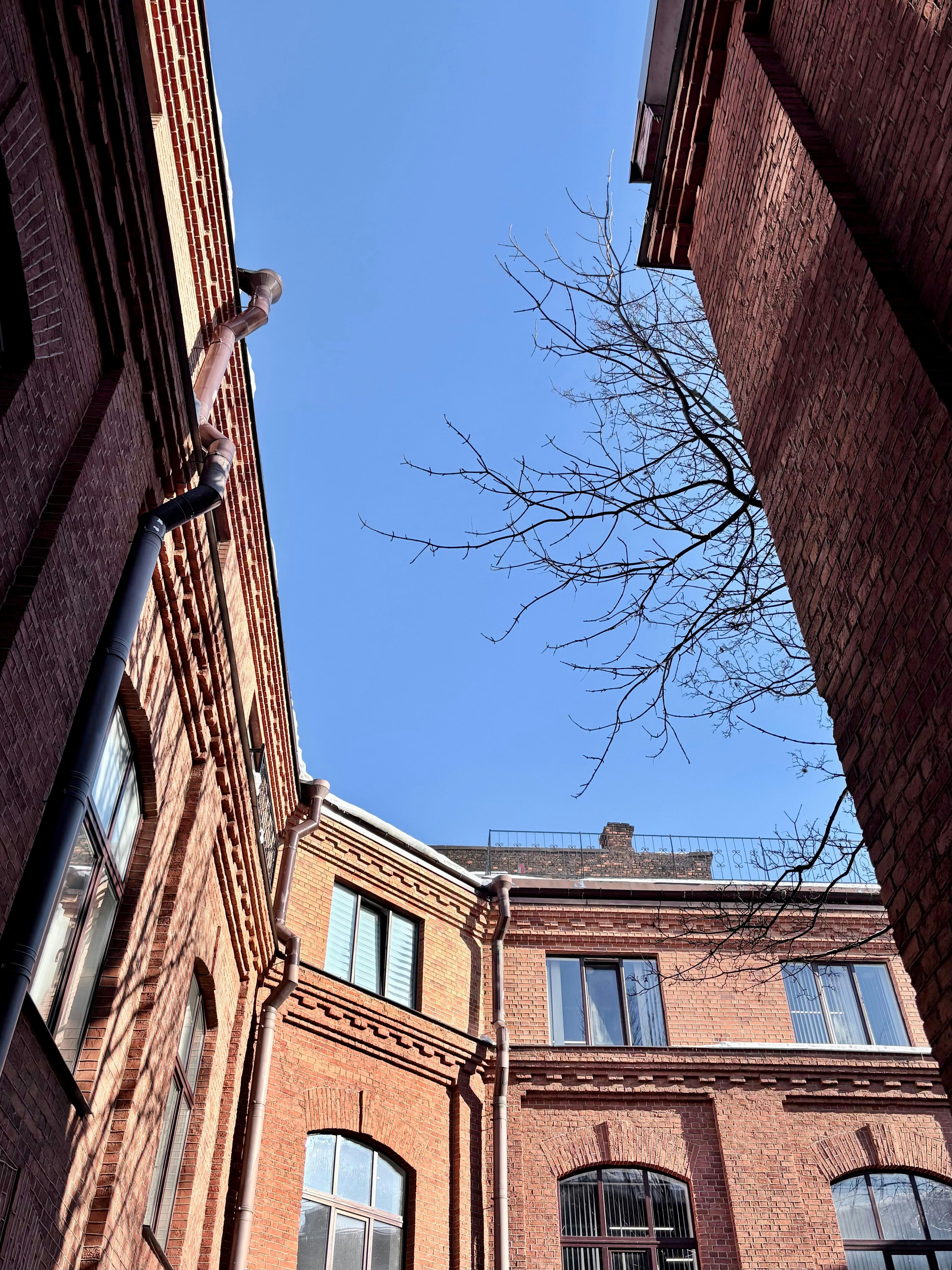 澄んだ青空を背景に赤レンガの建物。