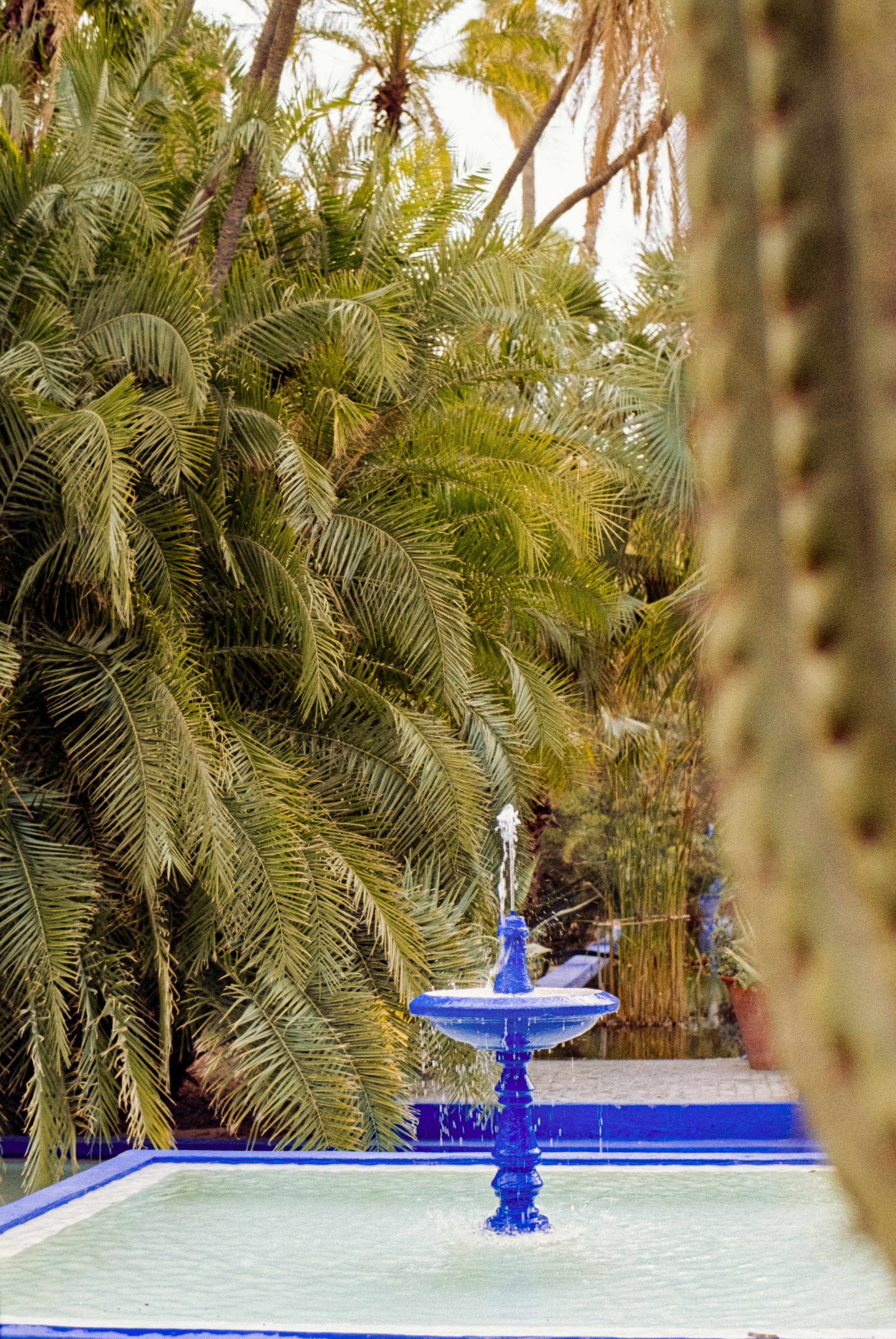 A blue fountain in a lush garden with palm trees