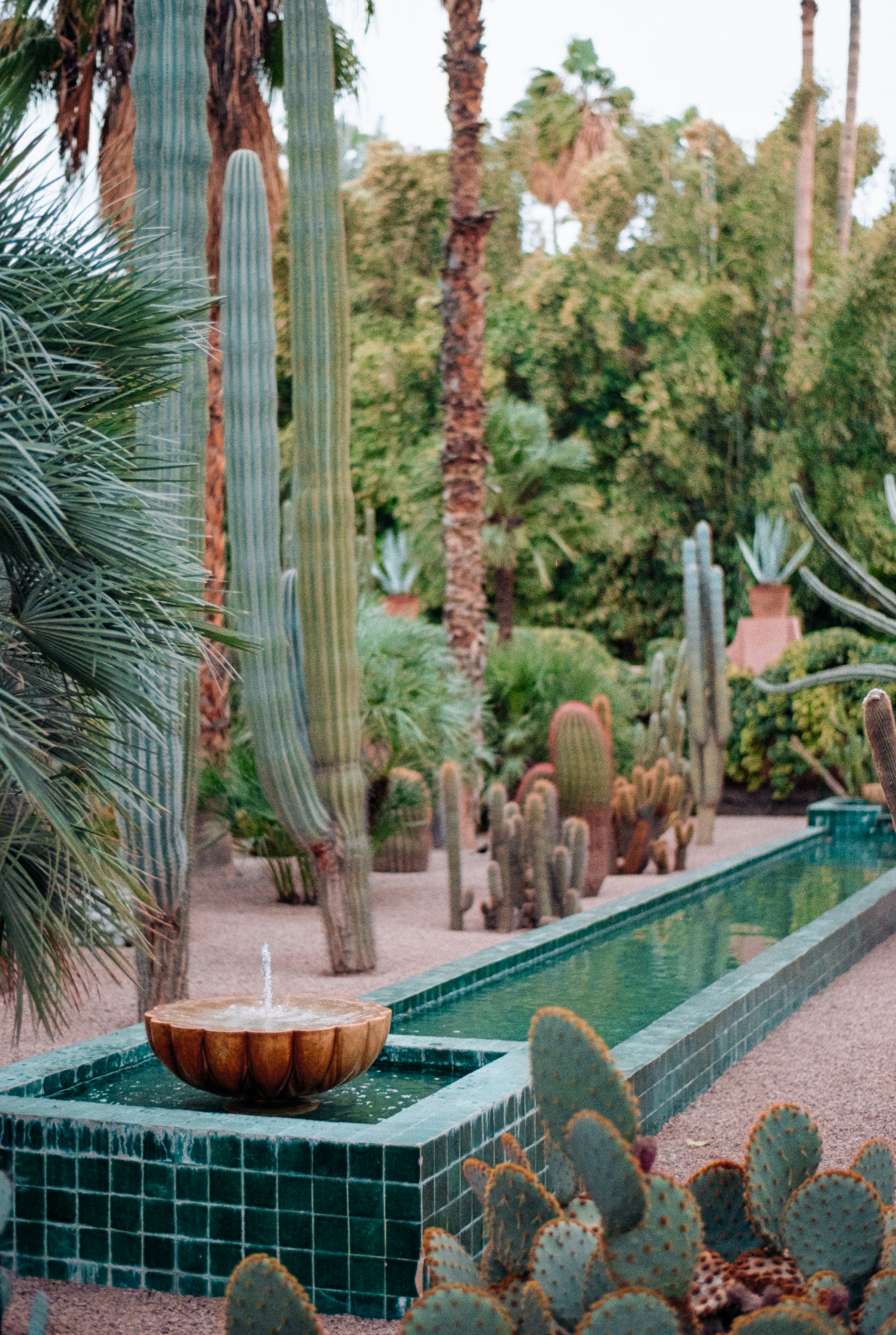 Photo by bethchobanova