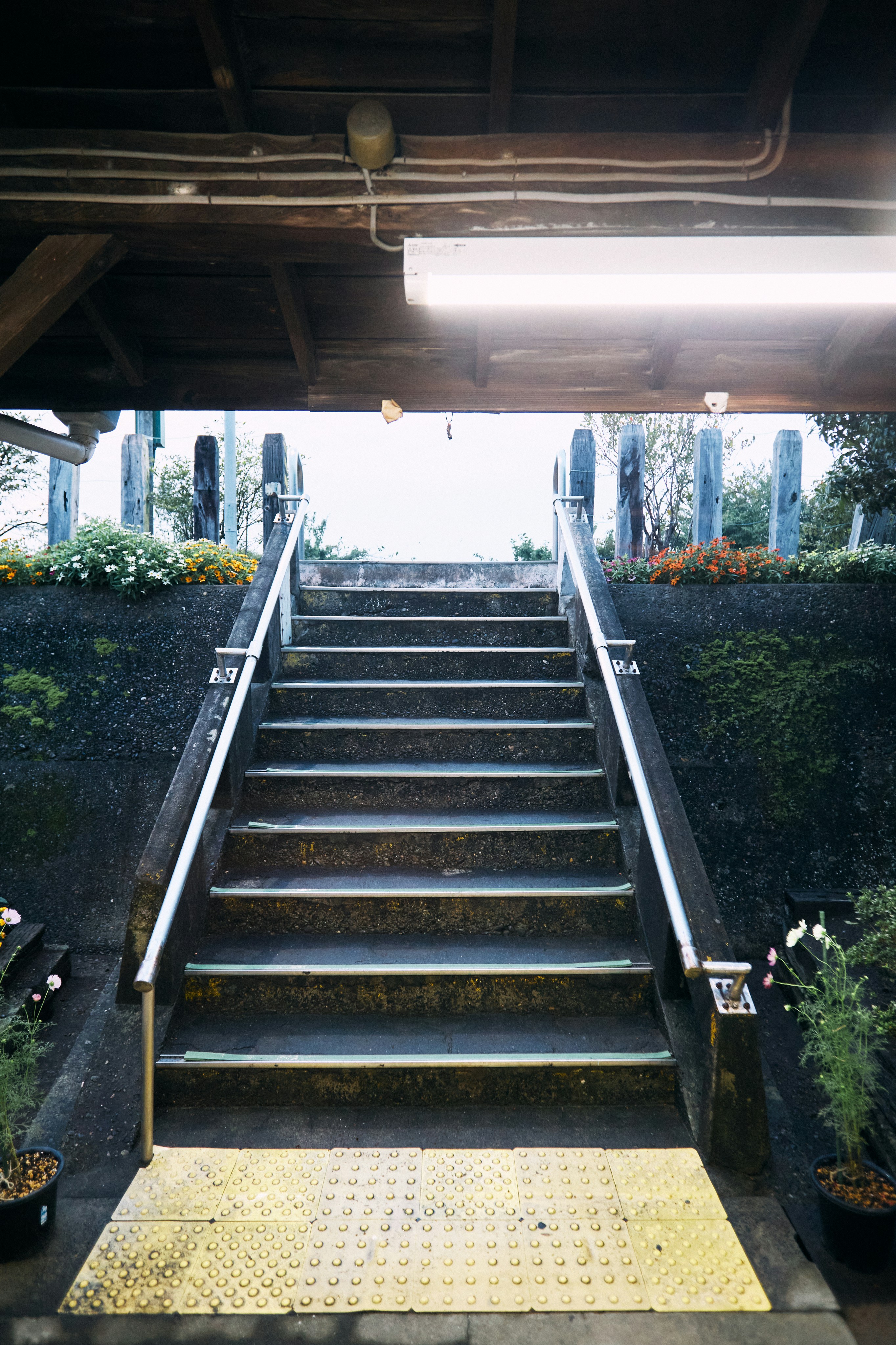 Photo by tsuyoshikozu