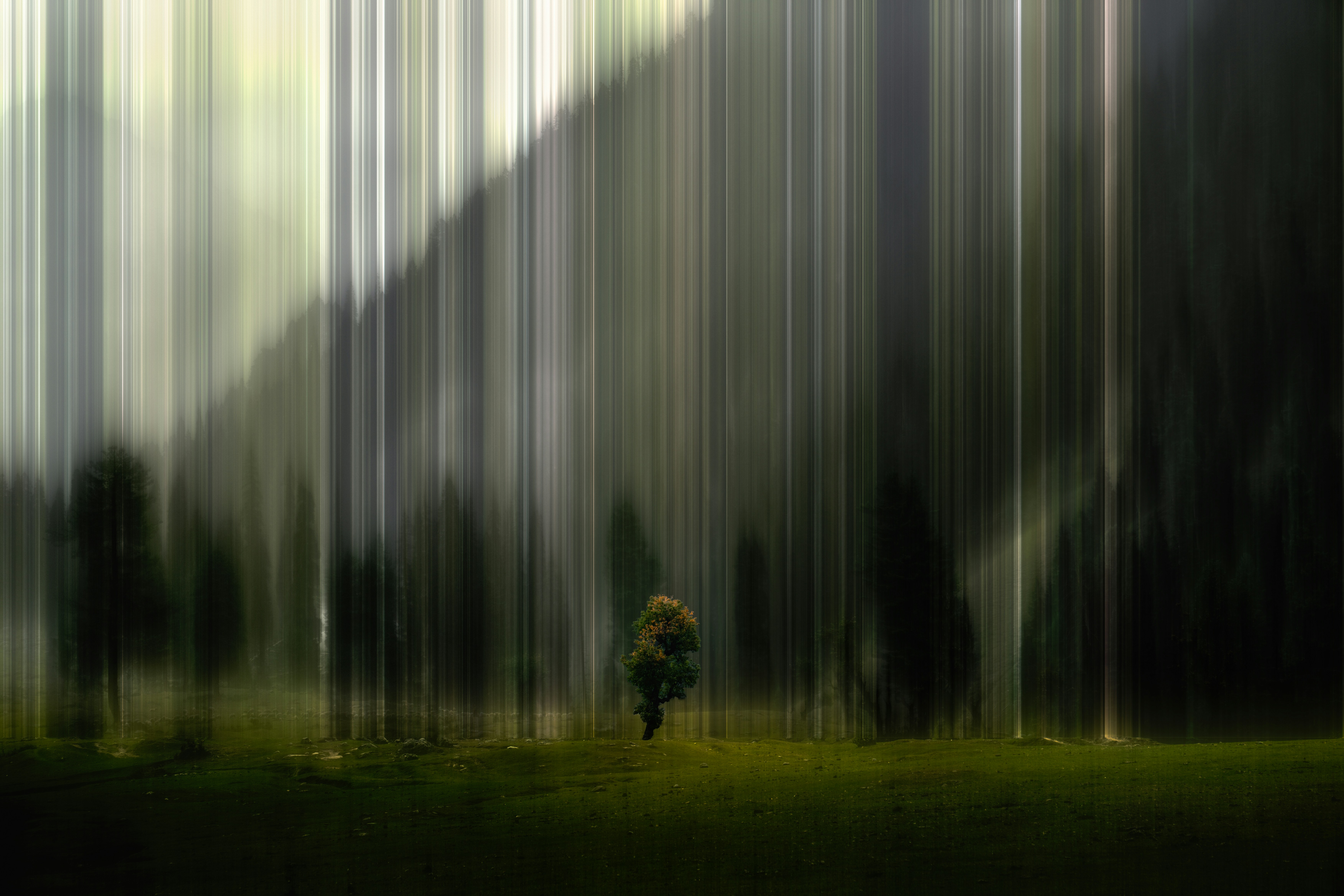 Abstract forest scene with vertical lines and single tree.