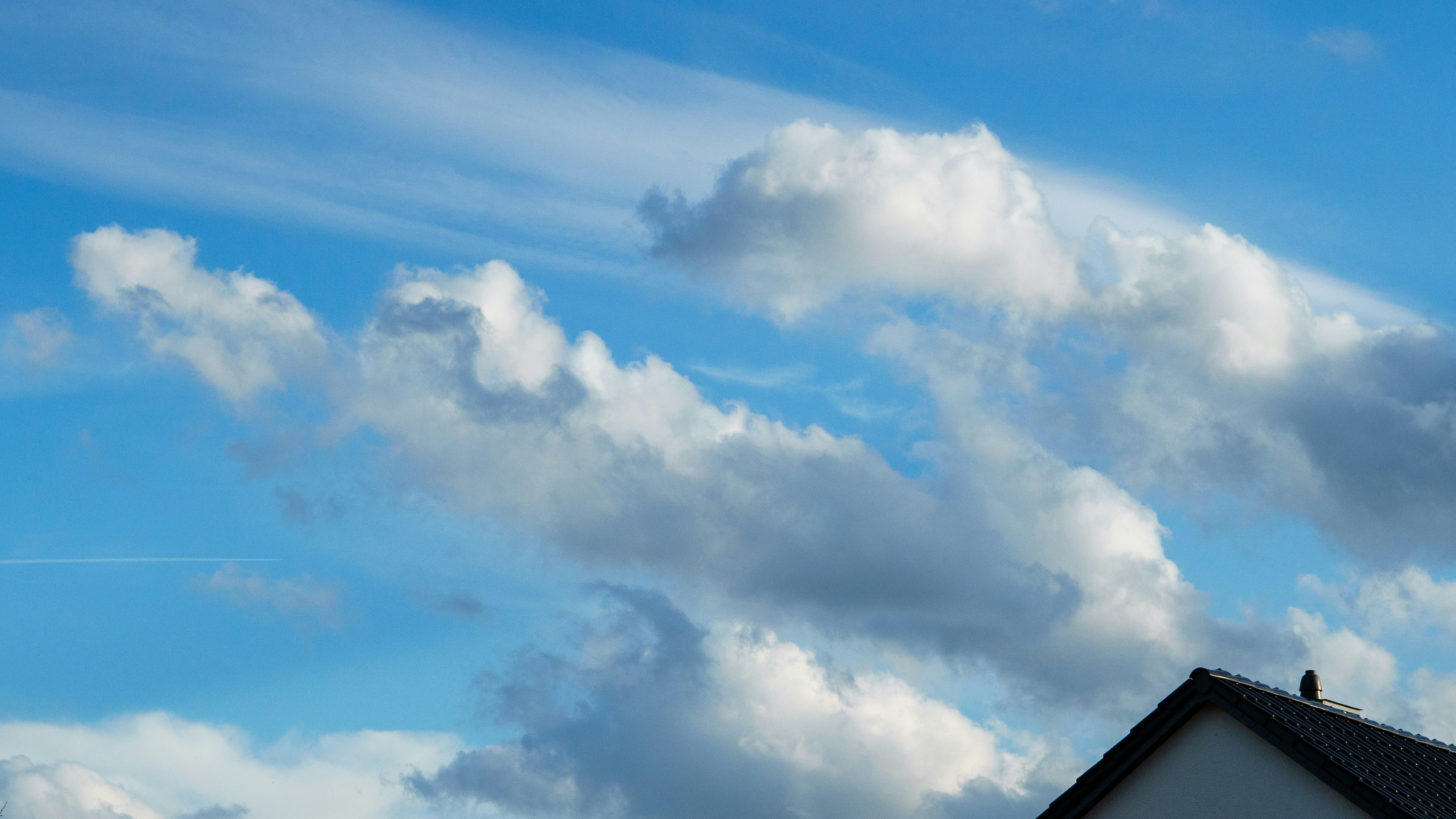 Photo by fabianforck