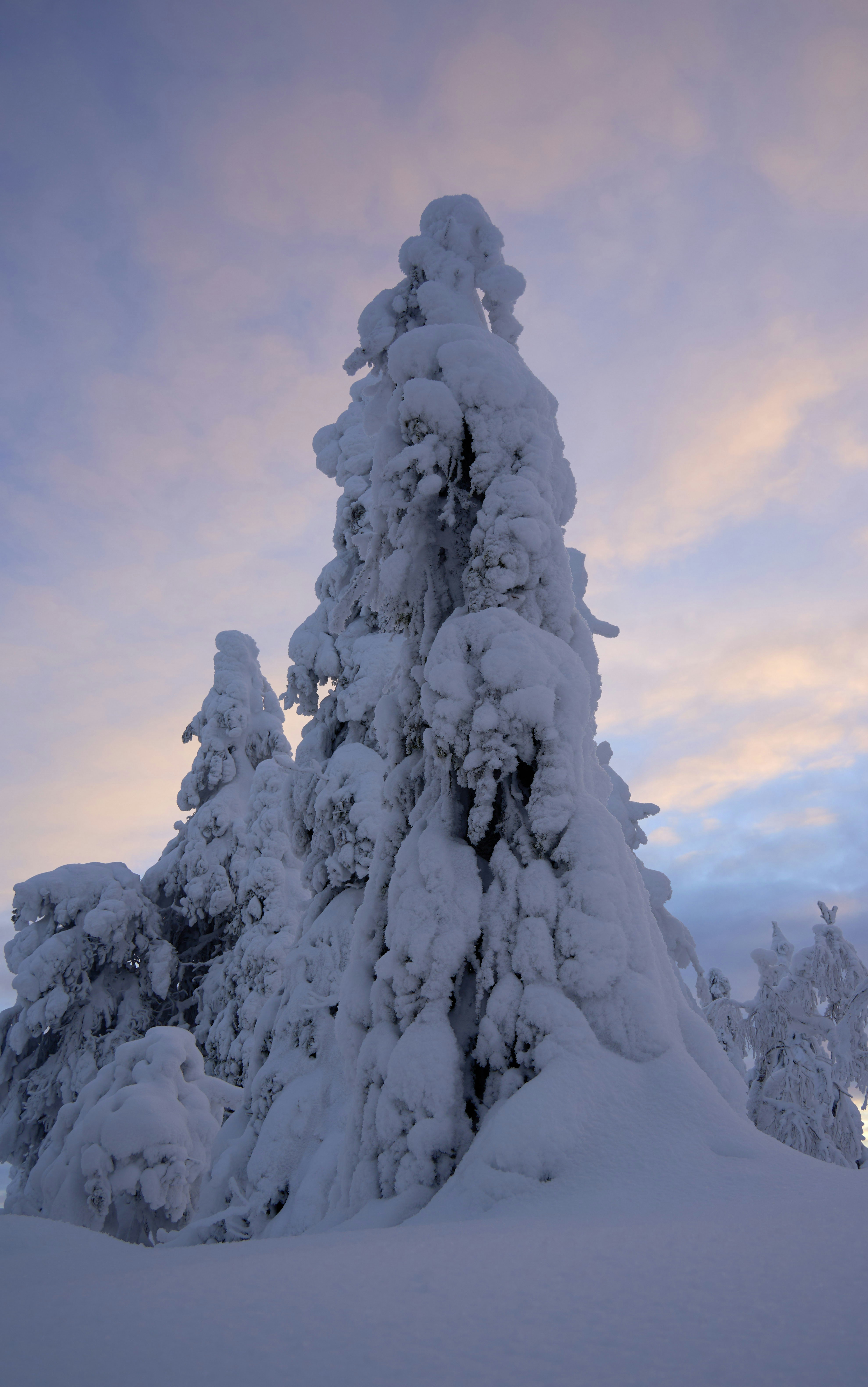 Photo by wolfgang_hasselmann