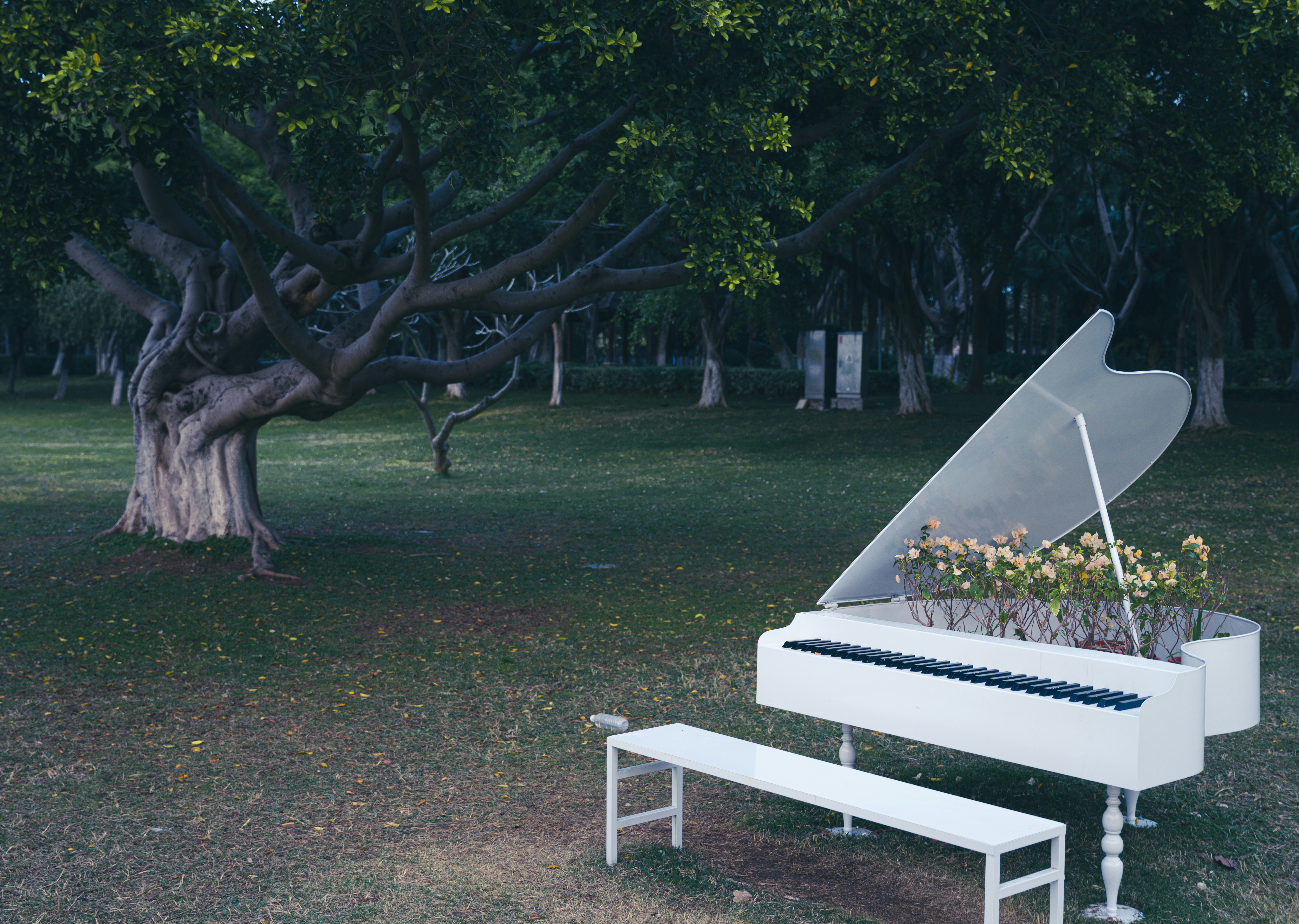 Piano de cola blanco con flores en un parque