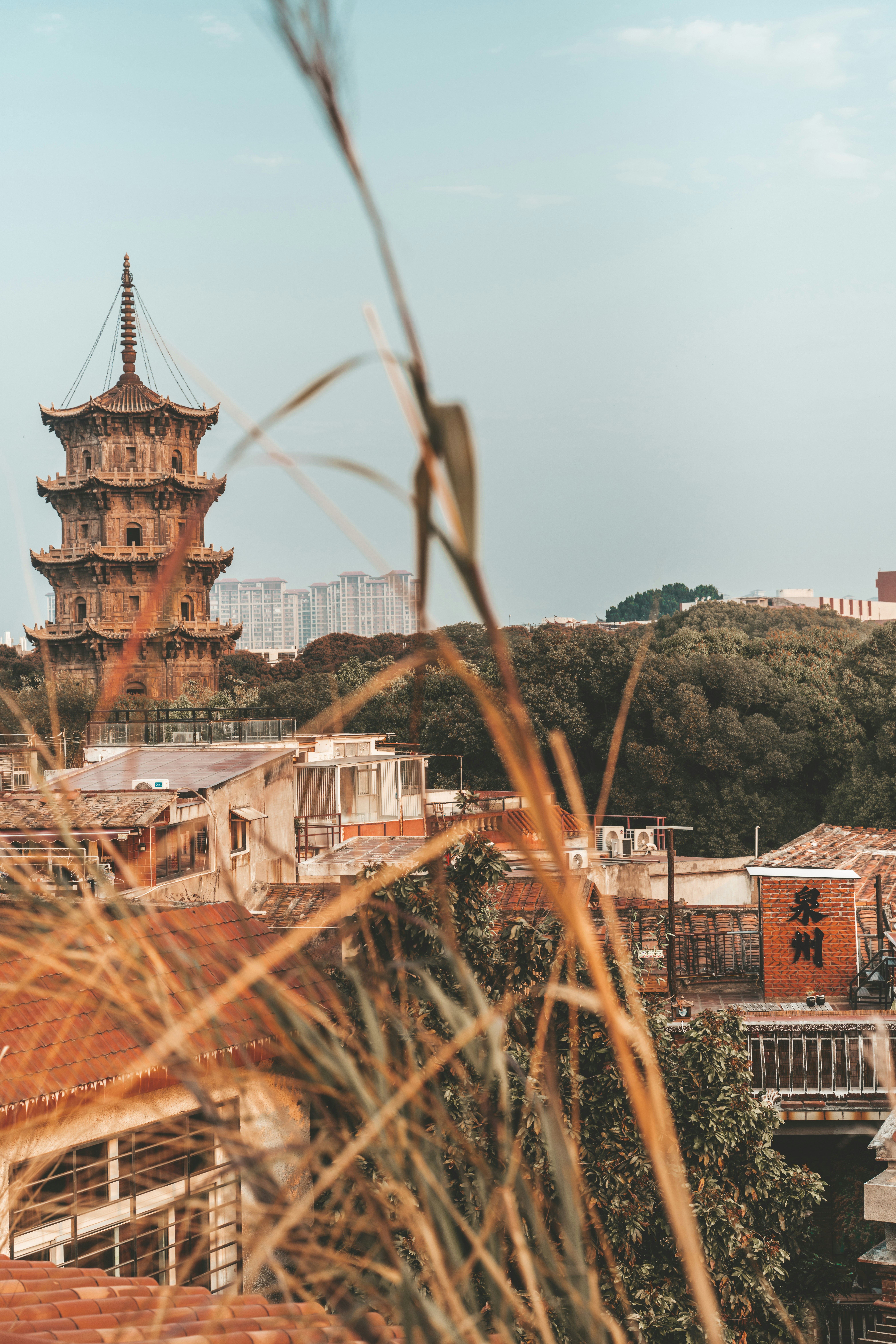 La antigua pagoda se eleva sobre tejados y árboles