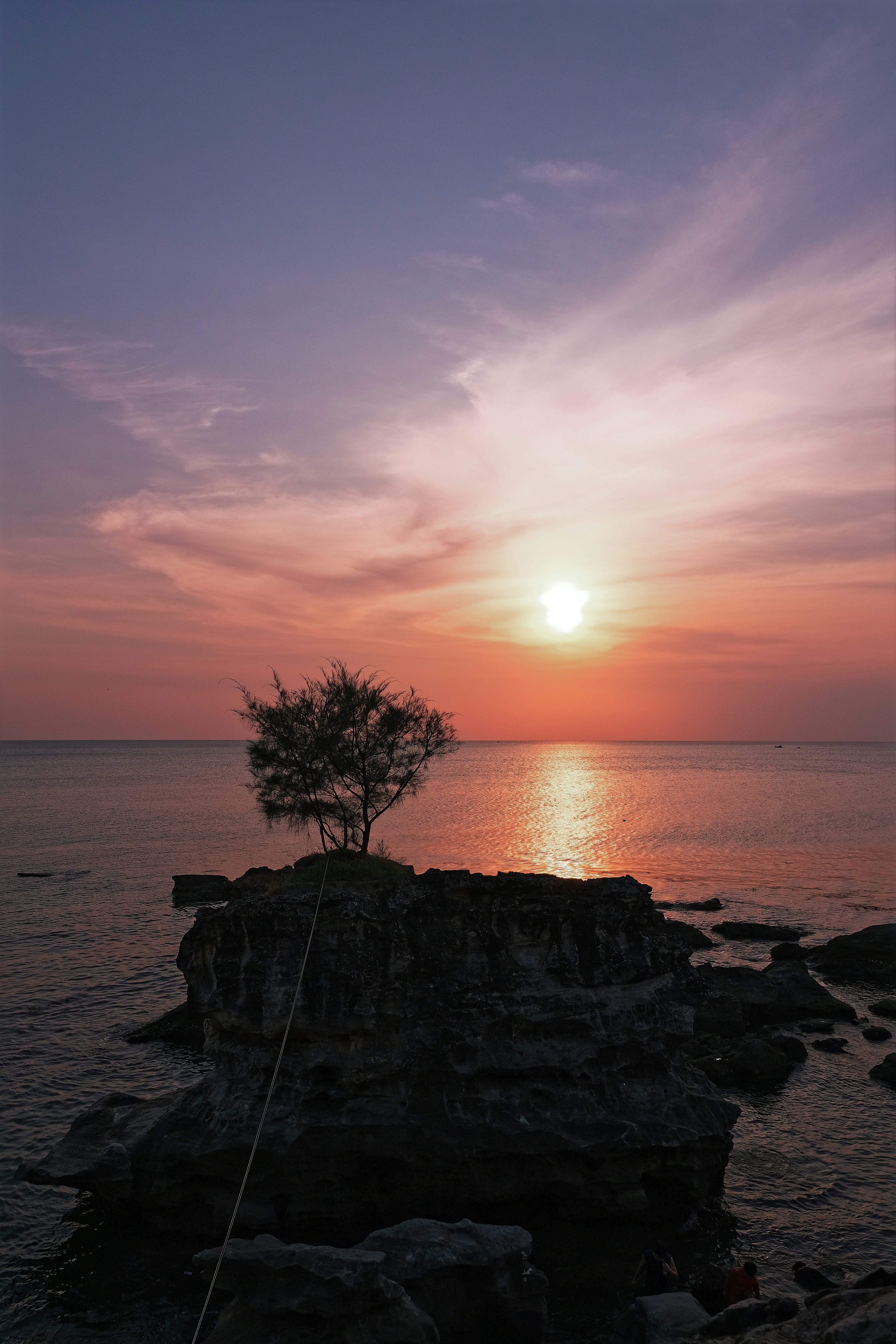 Lone tree on rock formation at sunset over ocean