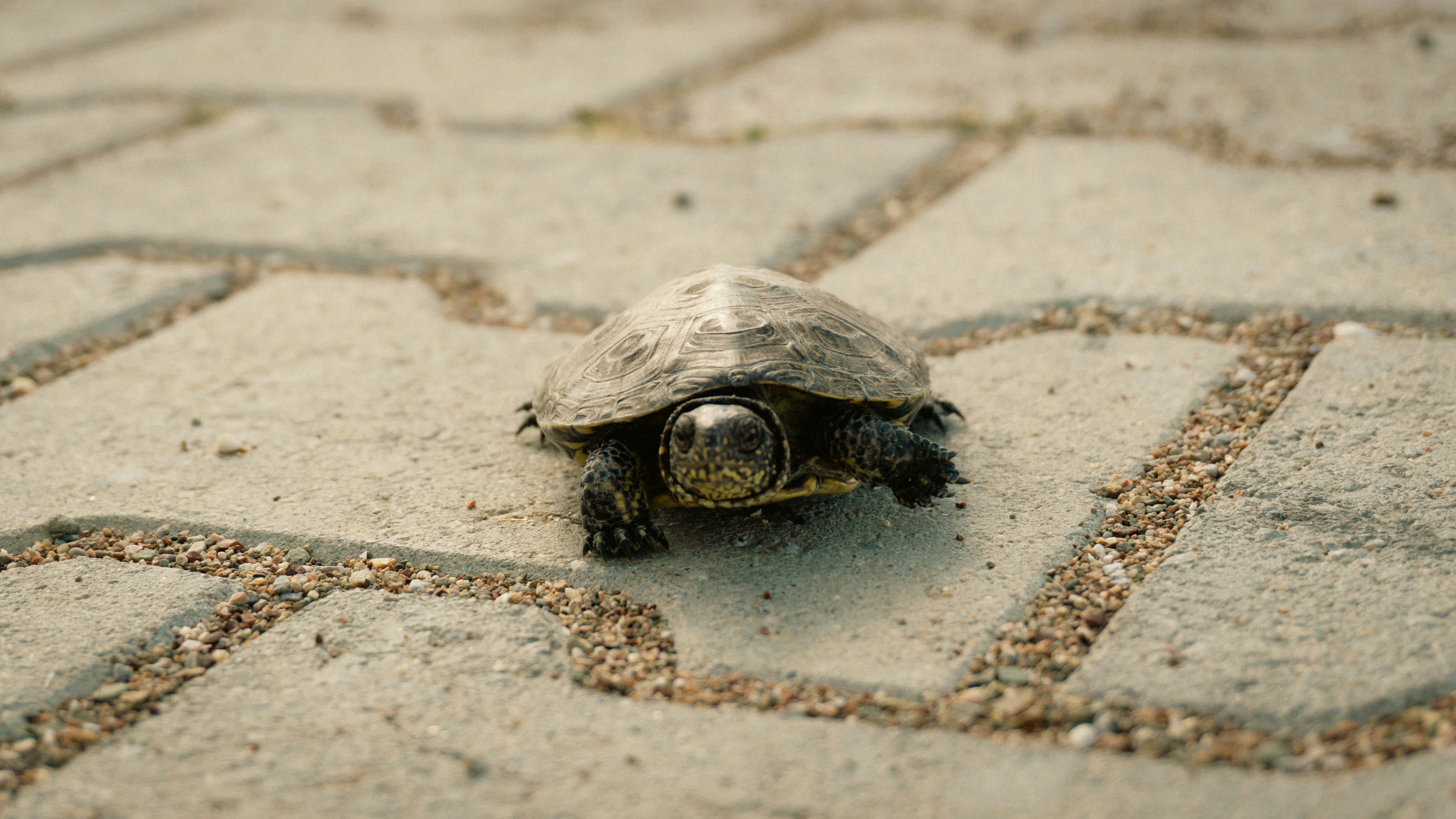 Photo by erdem_aydin