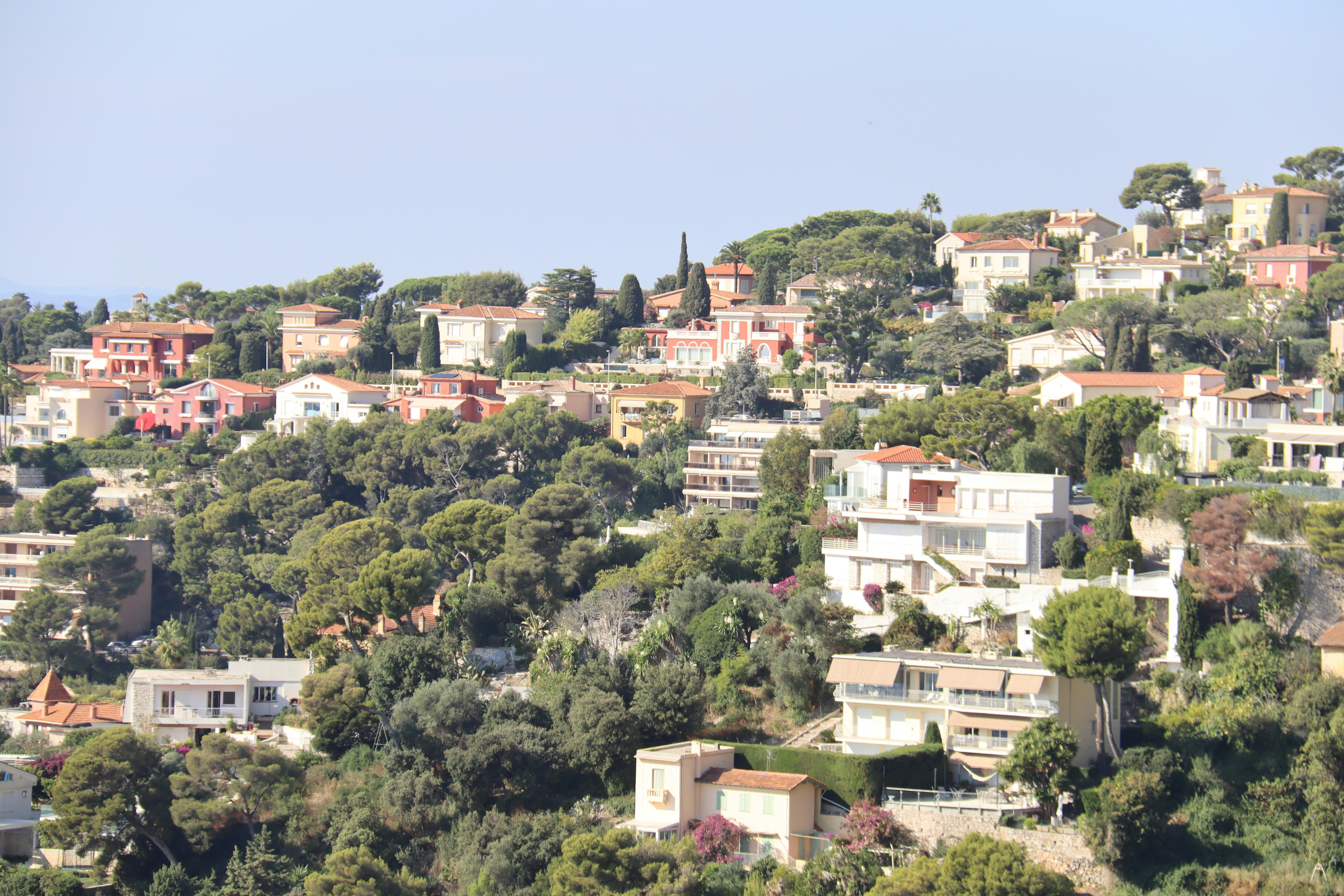 Photo by shalevcohen