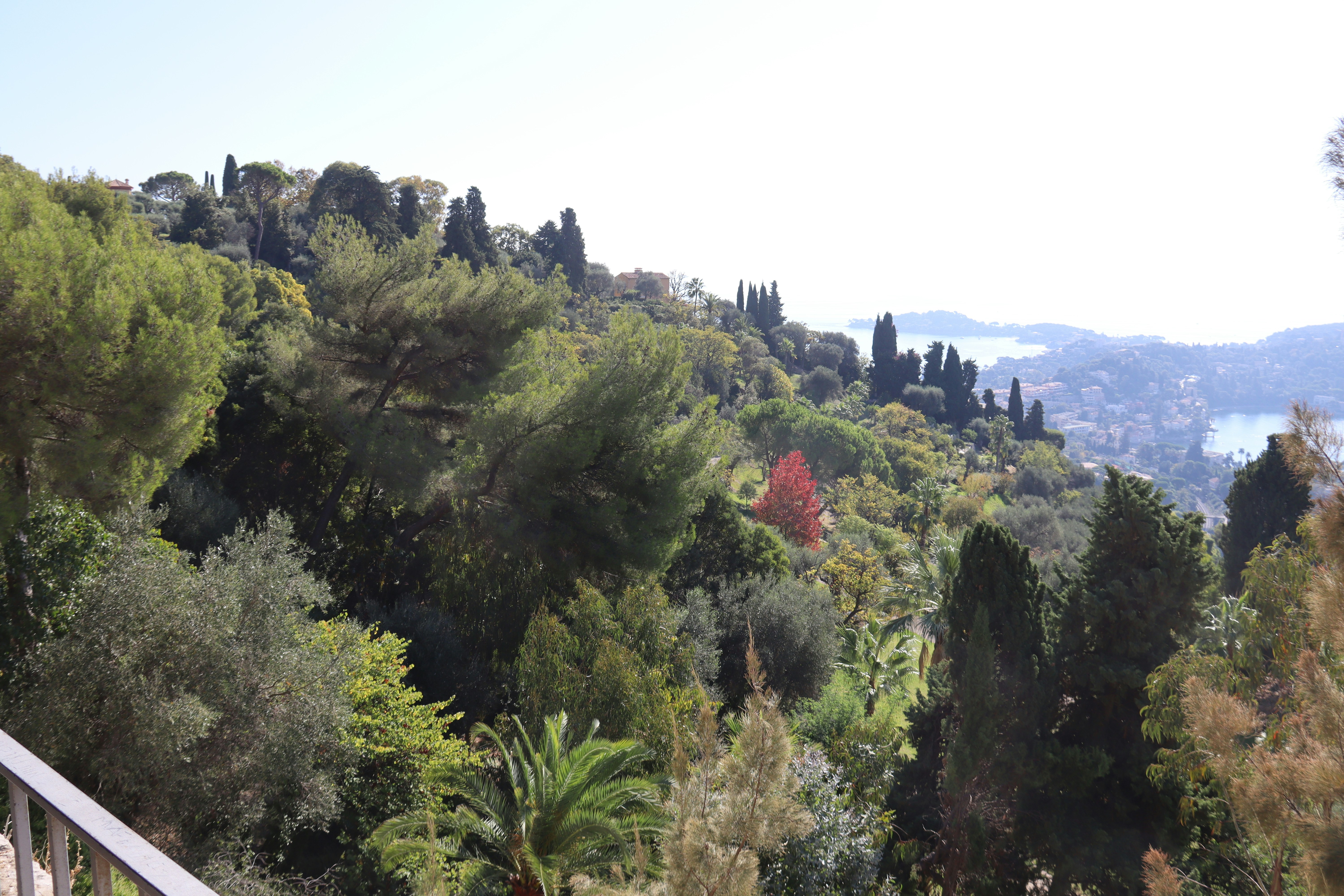 Photo by shalevcohen