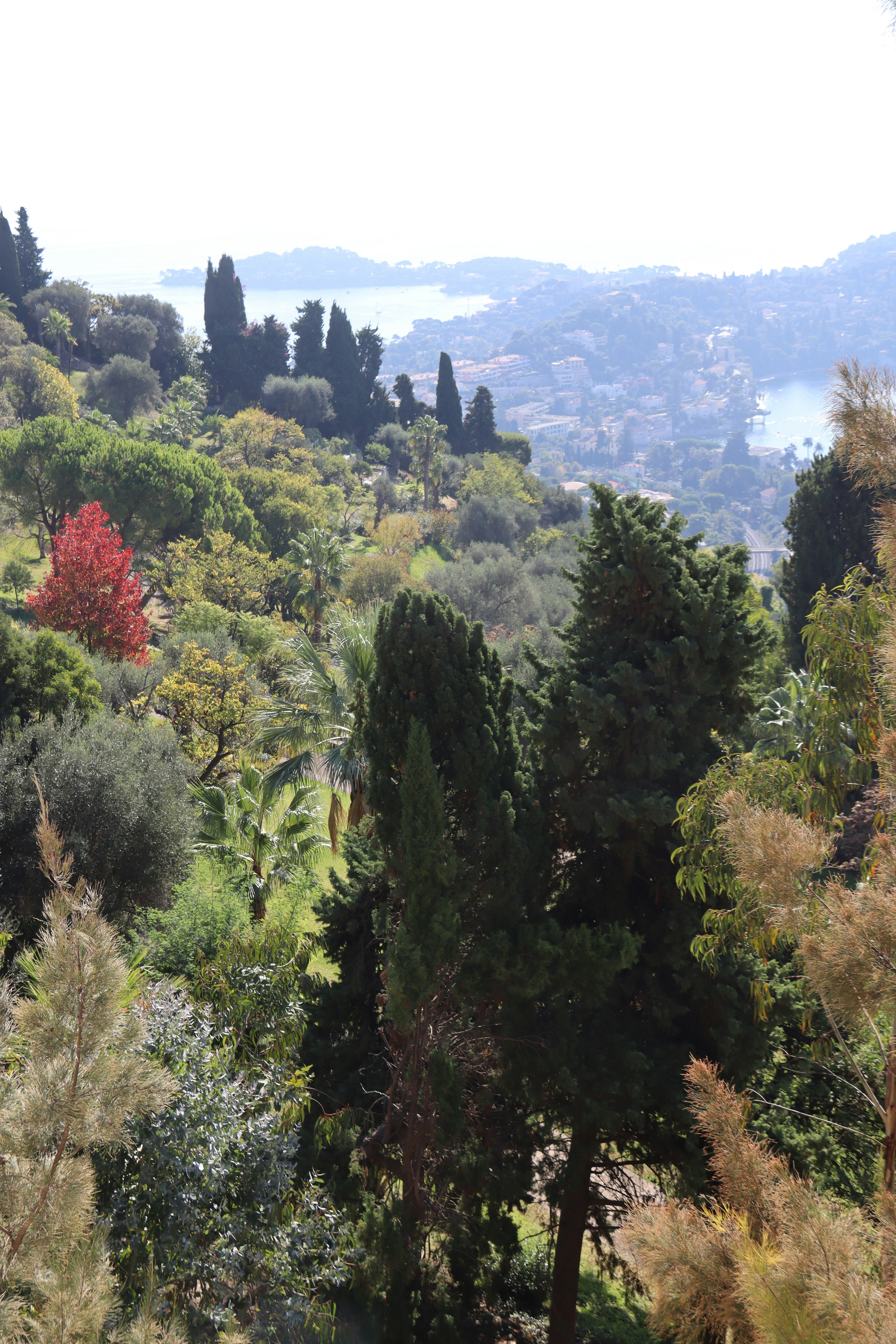 Photo by shalevcohen