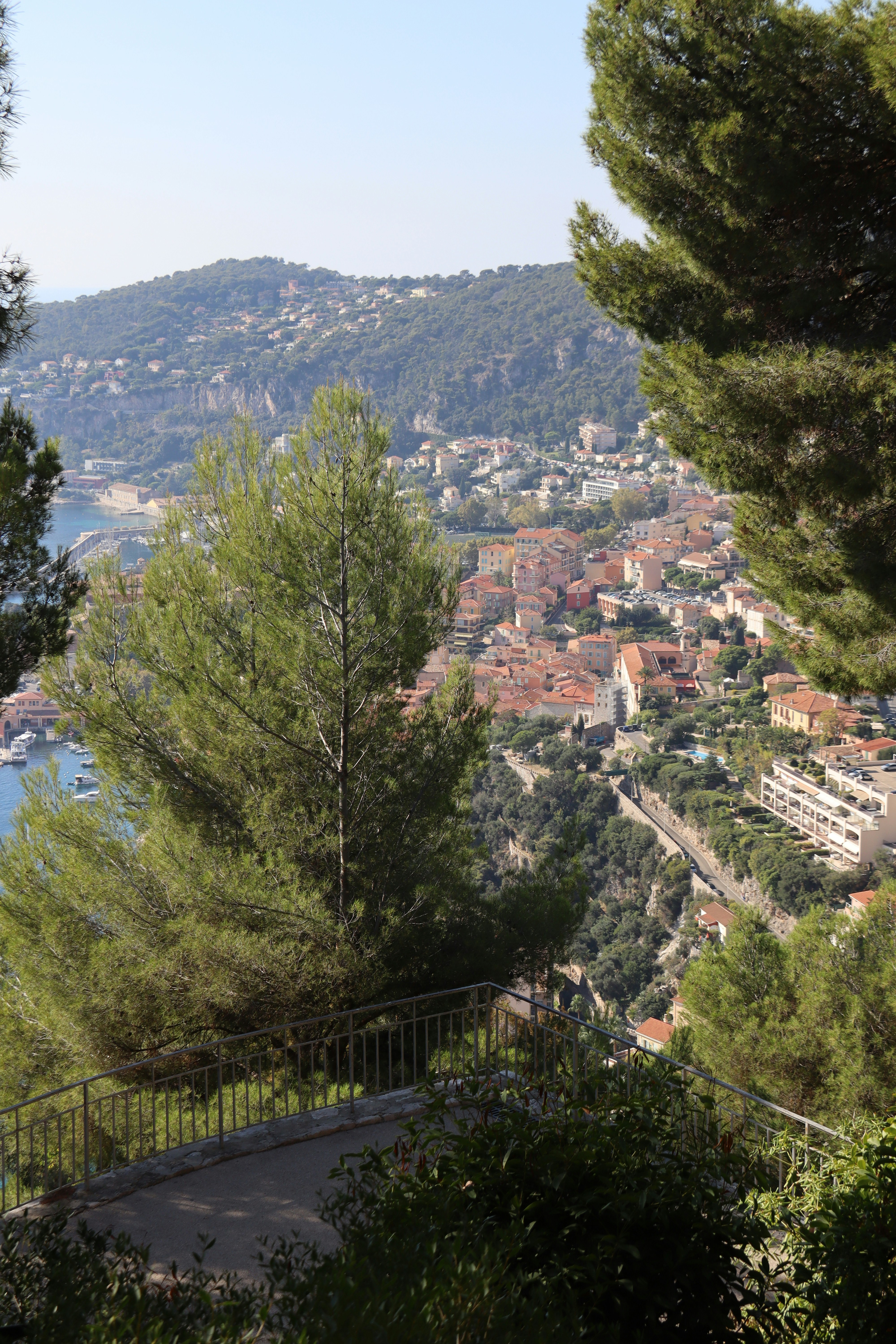 Photo by shalevcohen