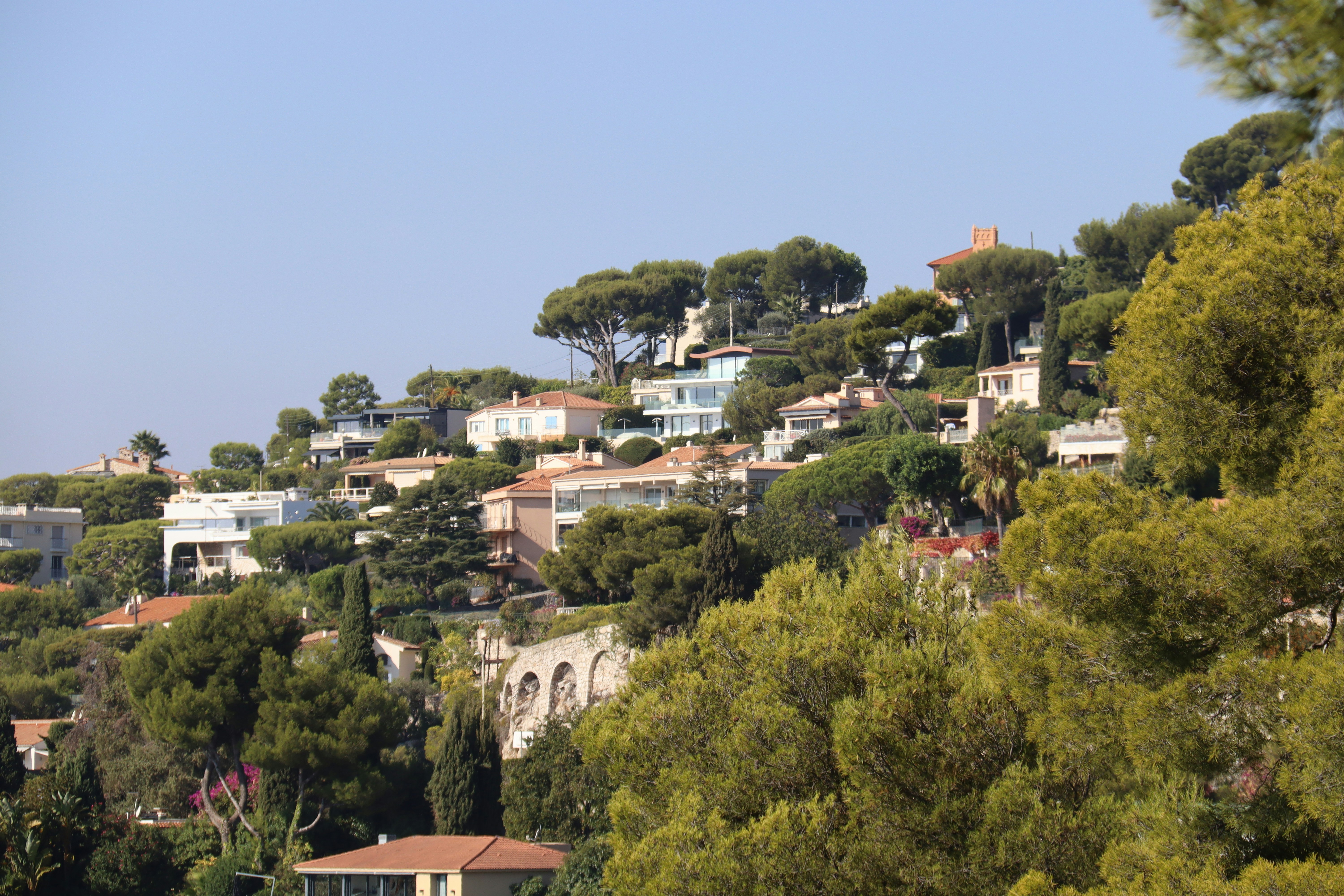 Photo by shalevcohen