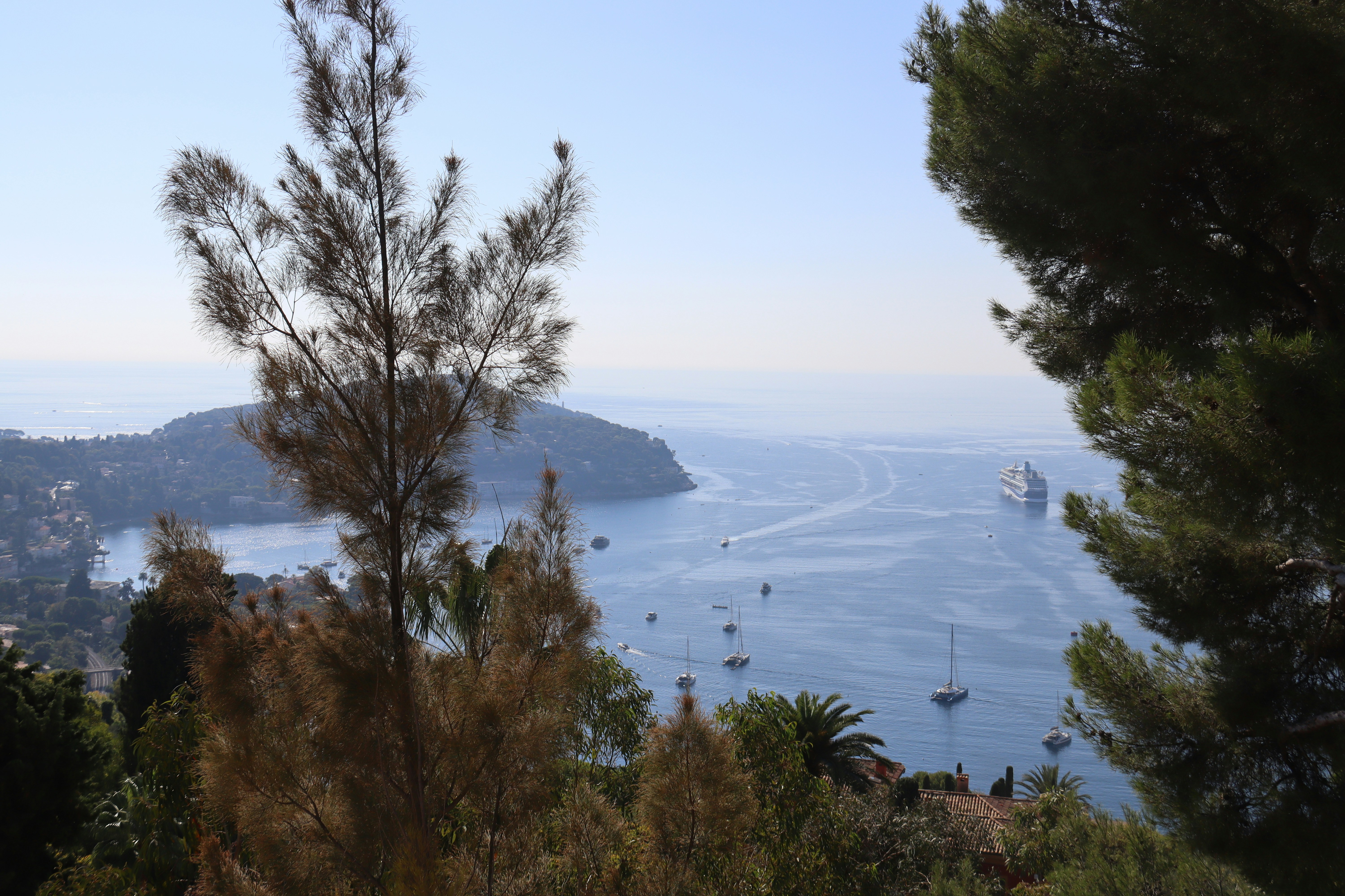 Photo by shalevcohen