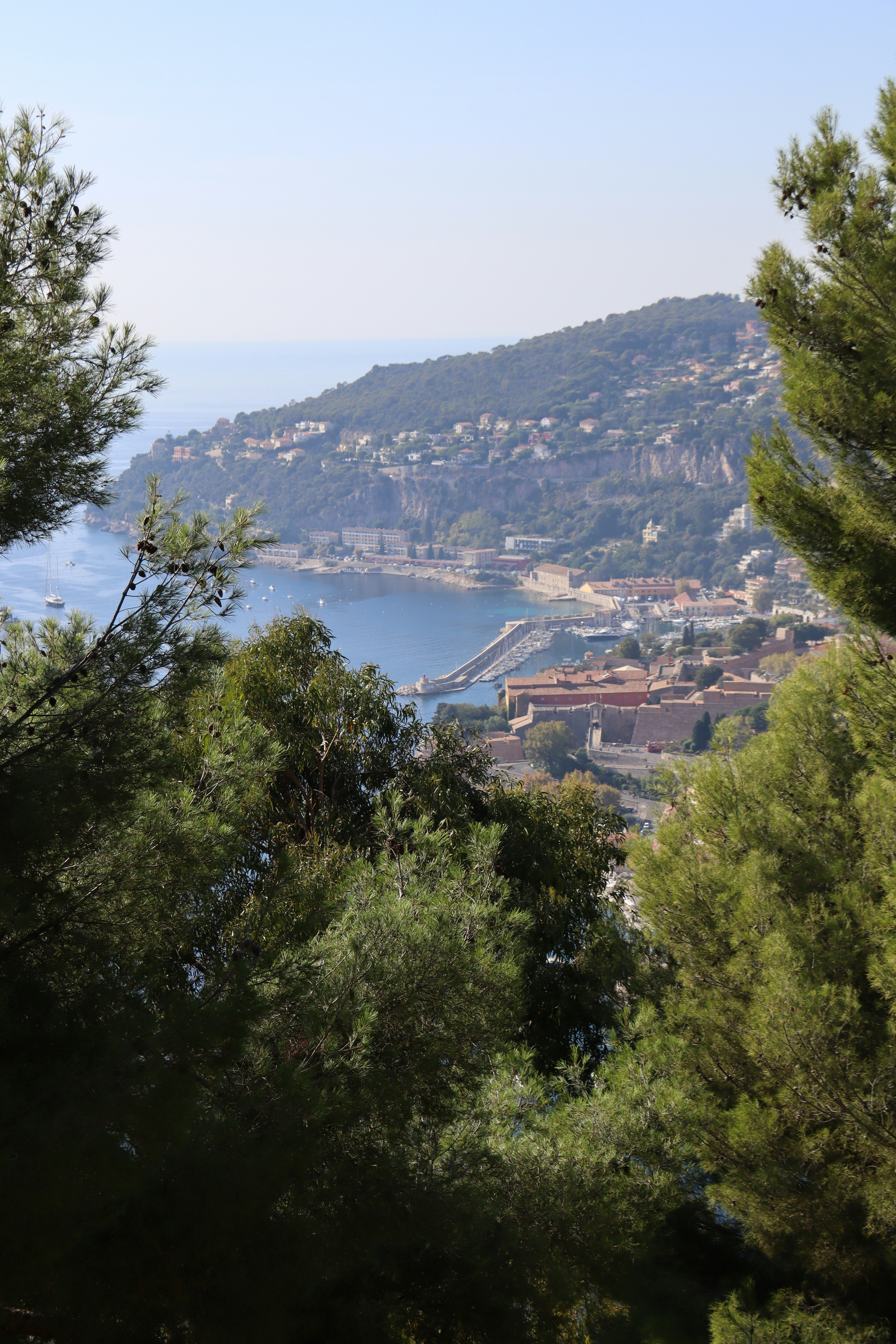 Photo by shalevcohen