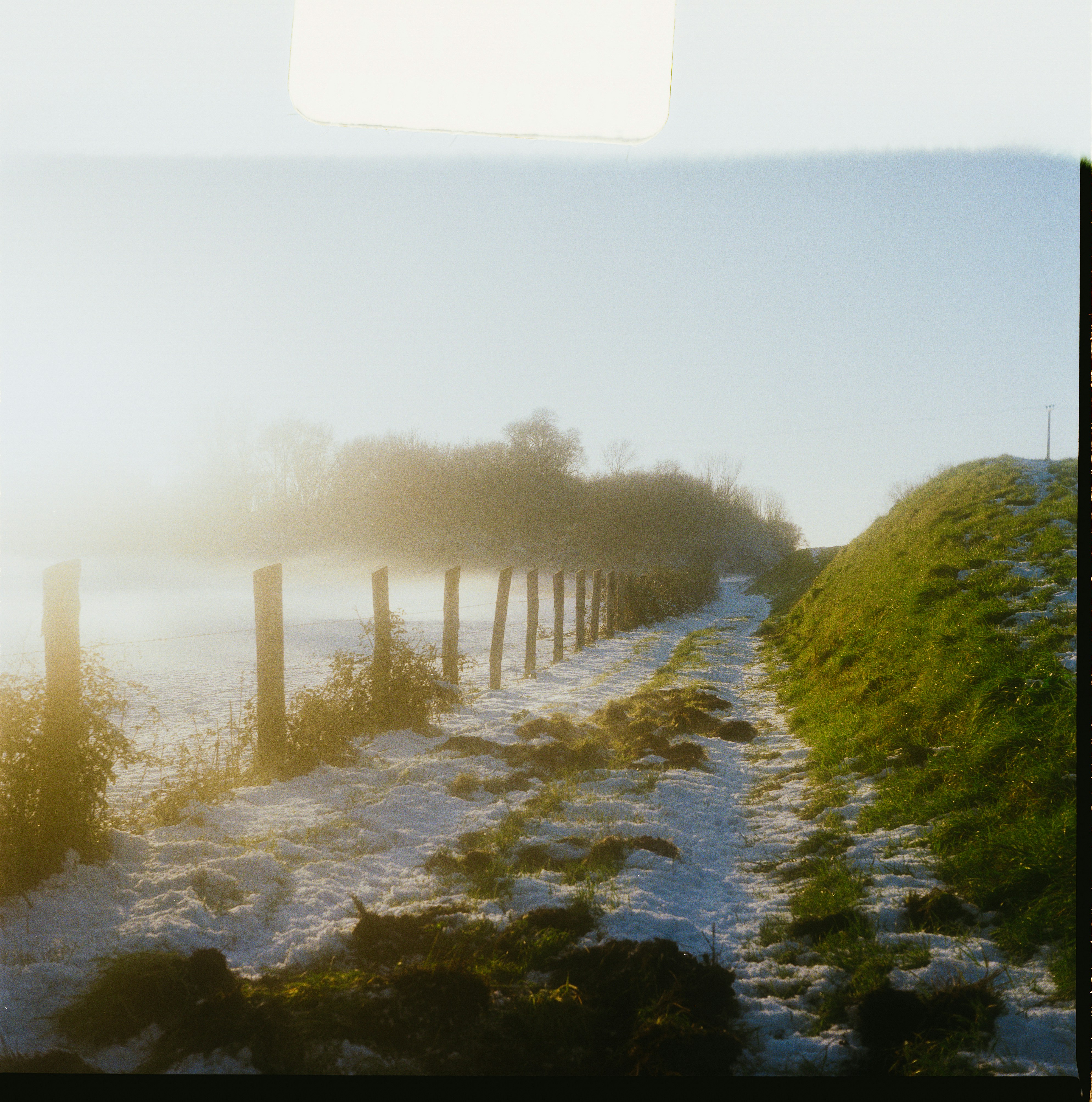 Un chemin enneigé avec une clôture et des arbres brumeux