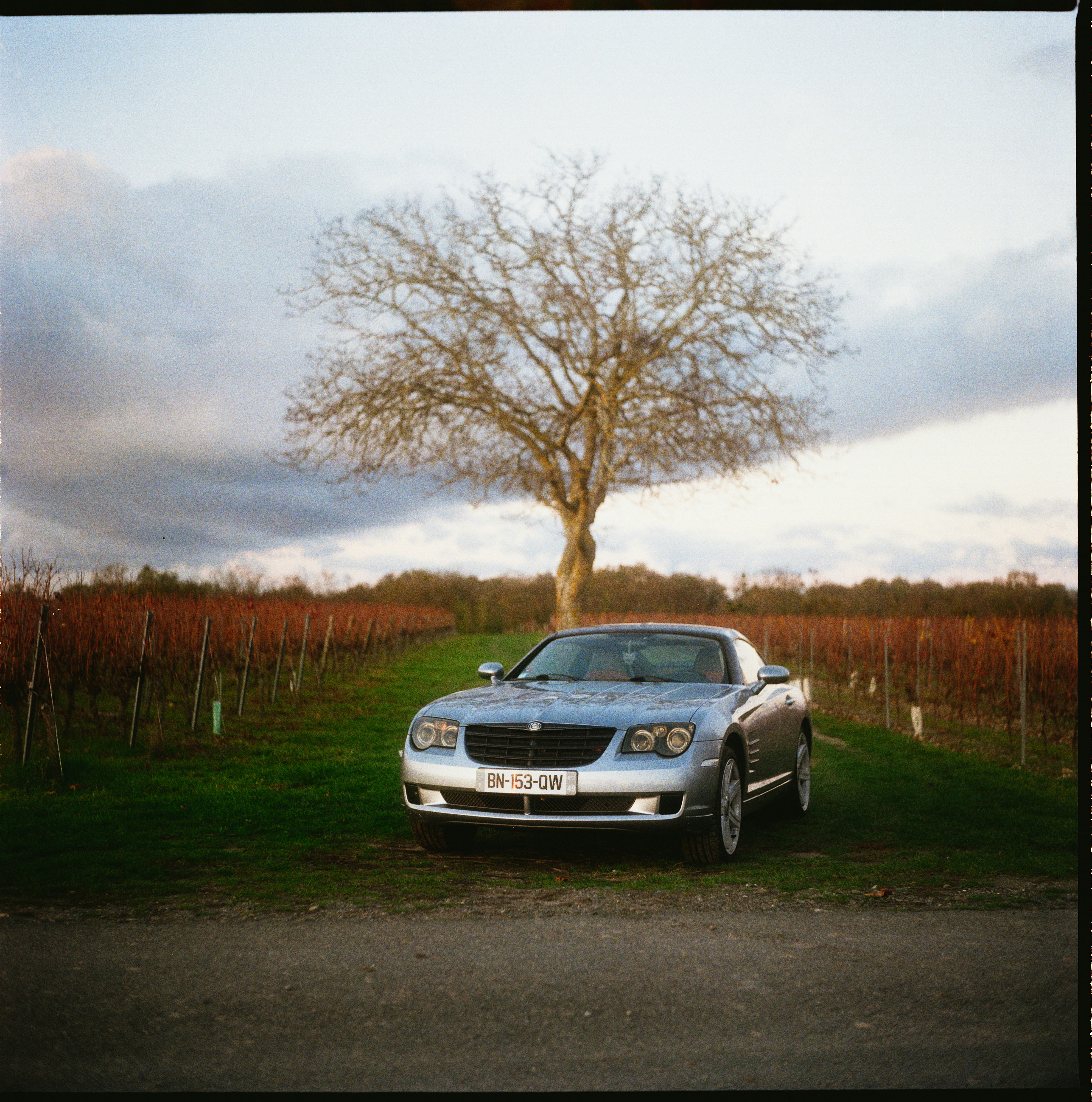 Voiture décapotable argentée garée sous un arbre nu