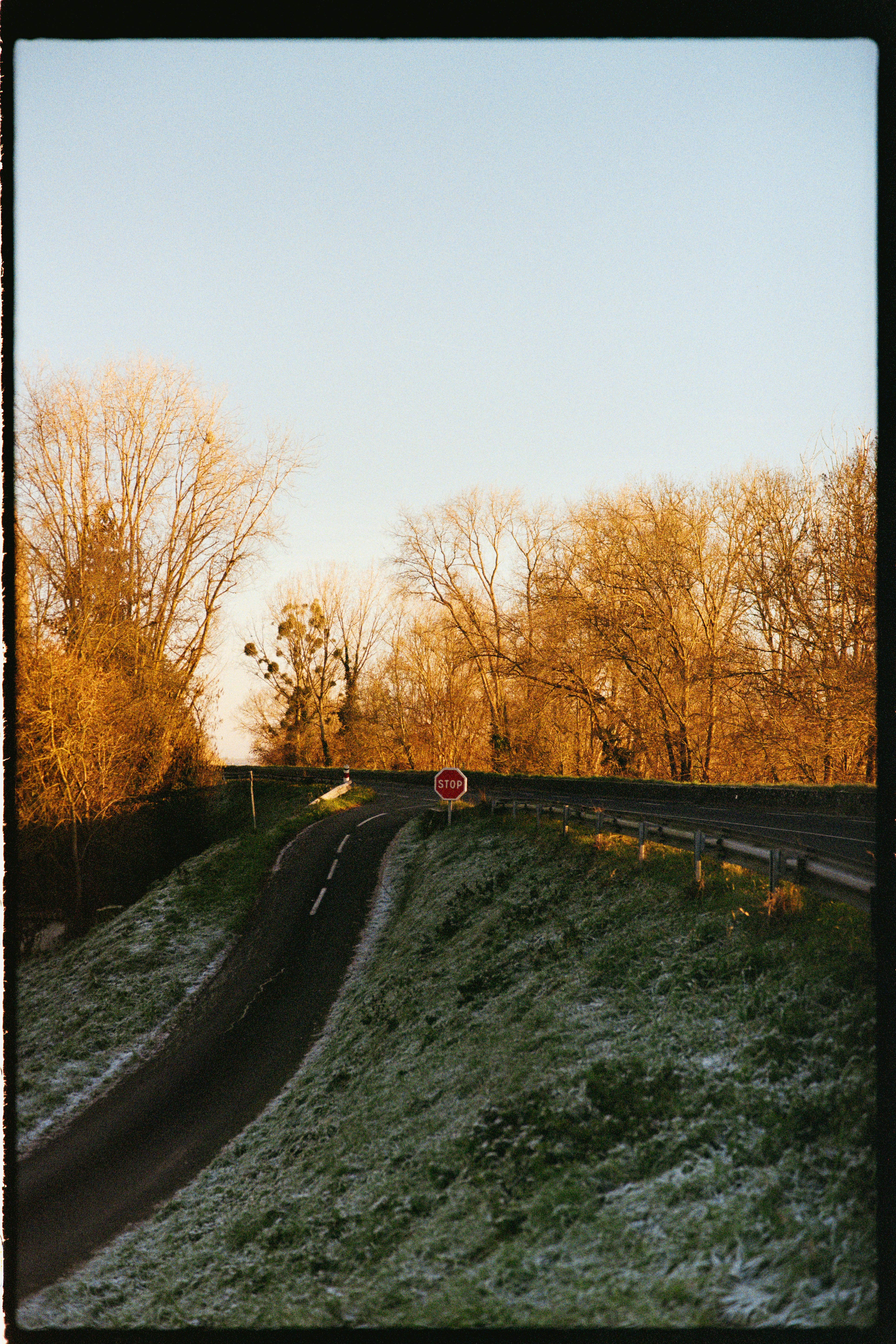 Une route sinueuse avec un panneau stop sous des arbres dorés.