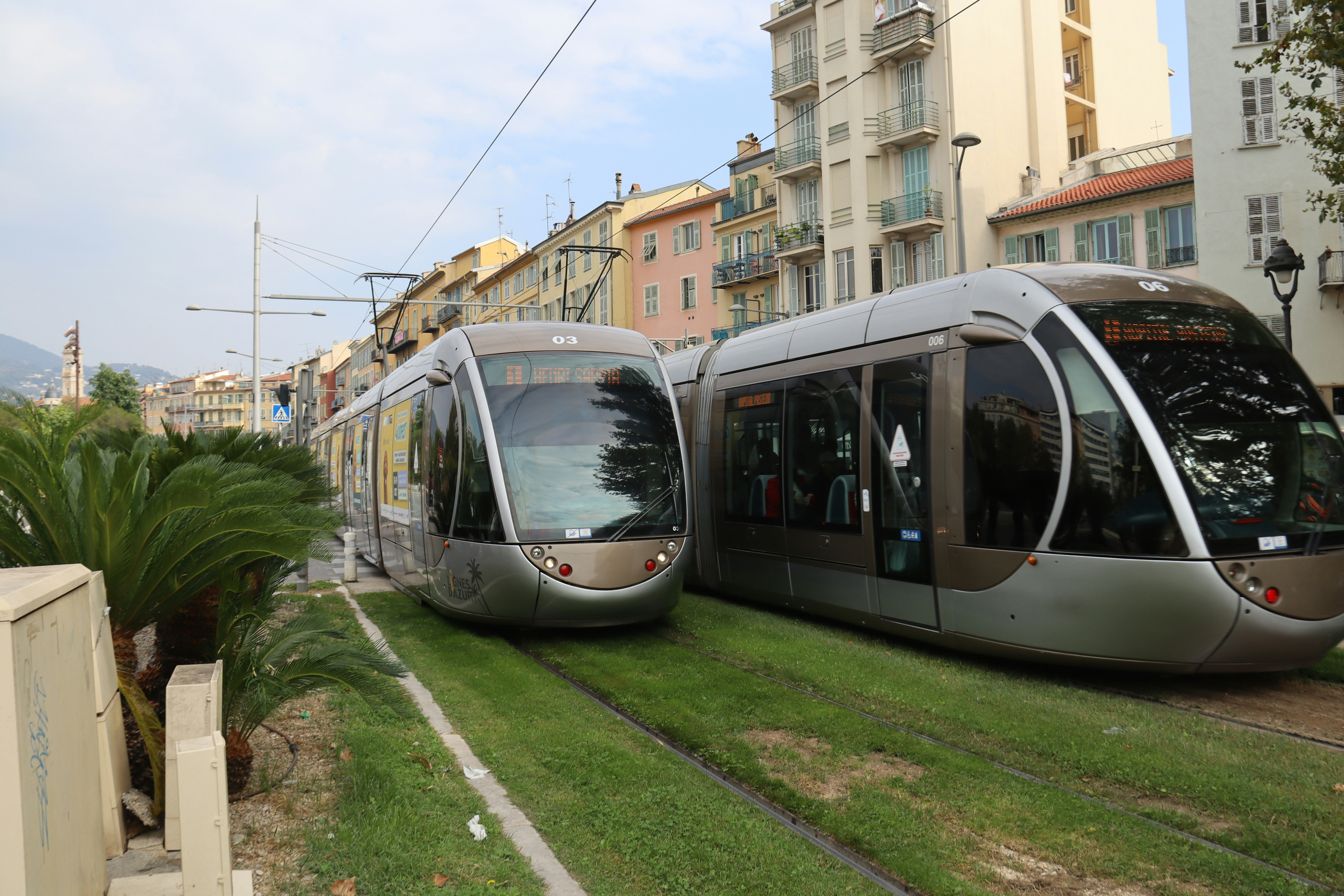 Two modern trams on grassy tracks in a city.
