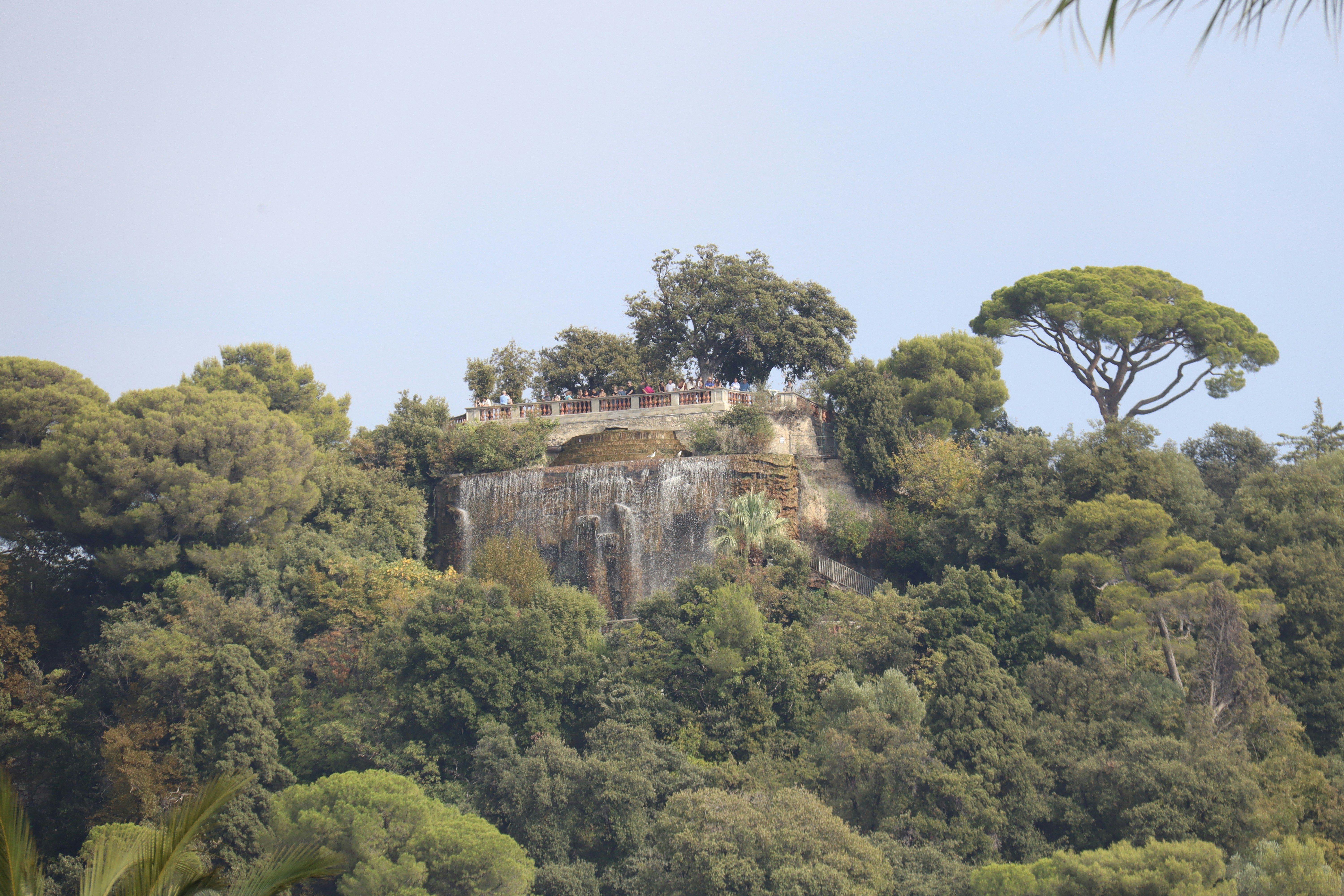 Photo by shalevcohen