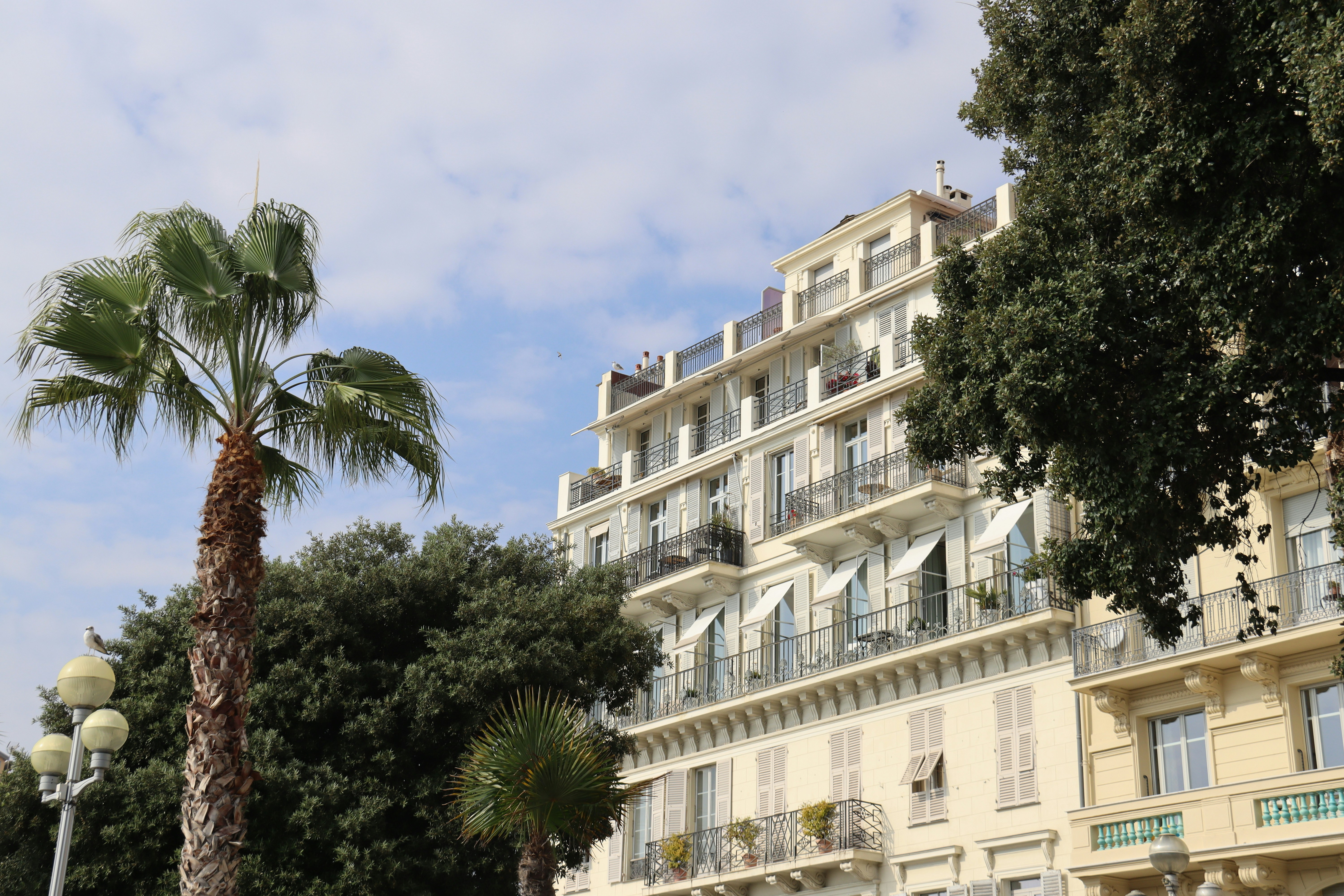 Photo by shalevcohen