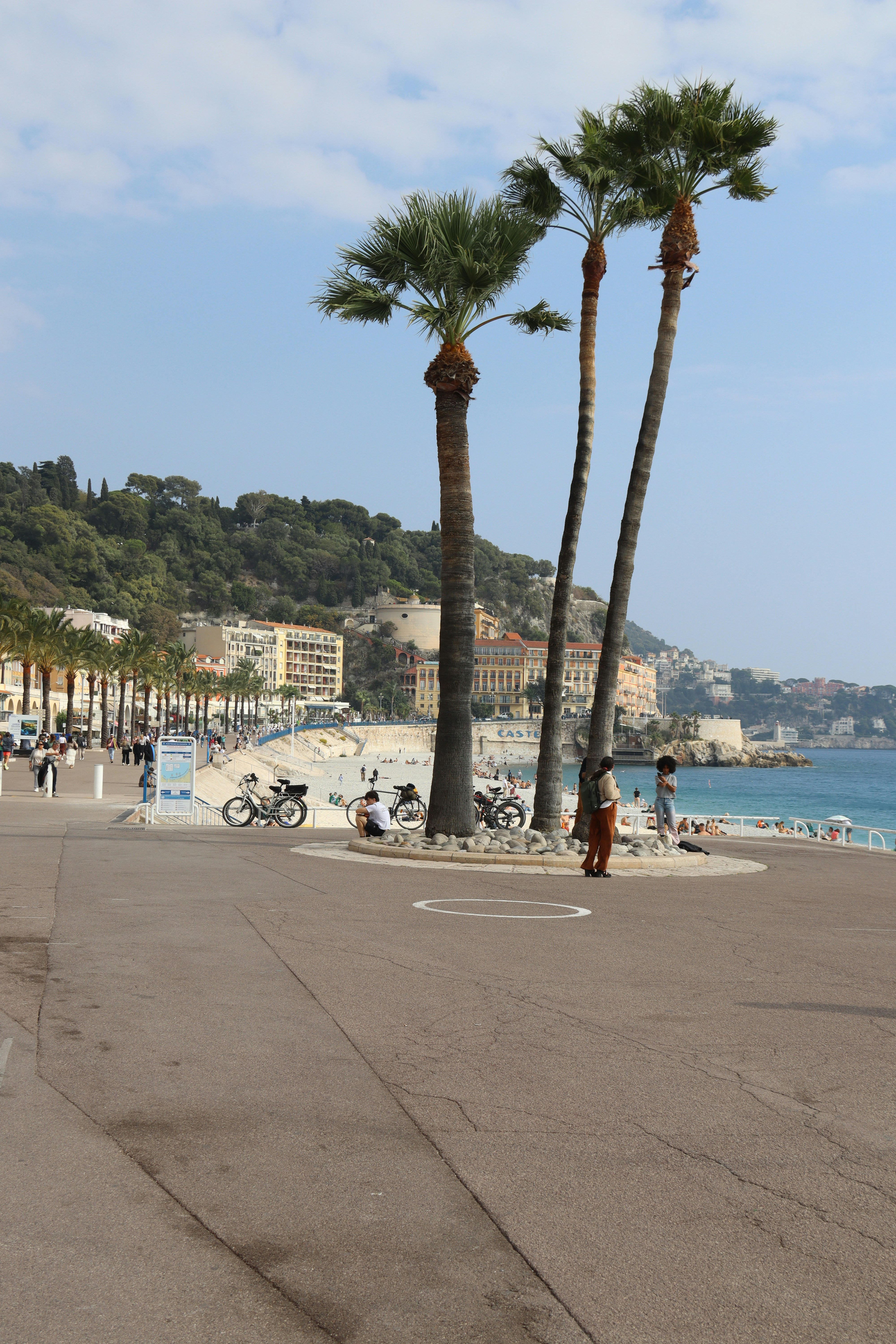 Photo by shalevcohen