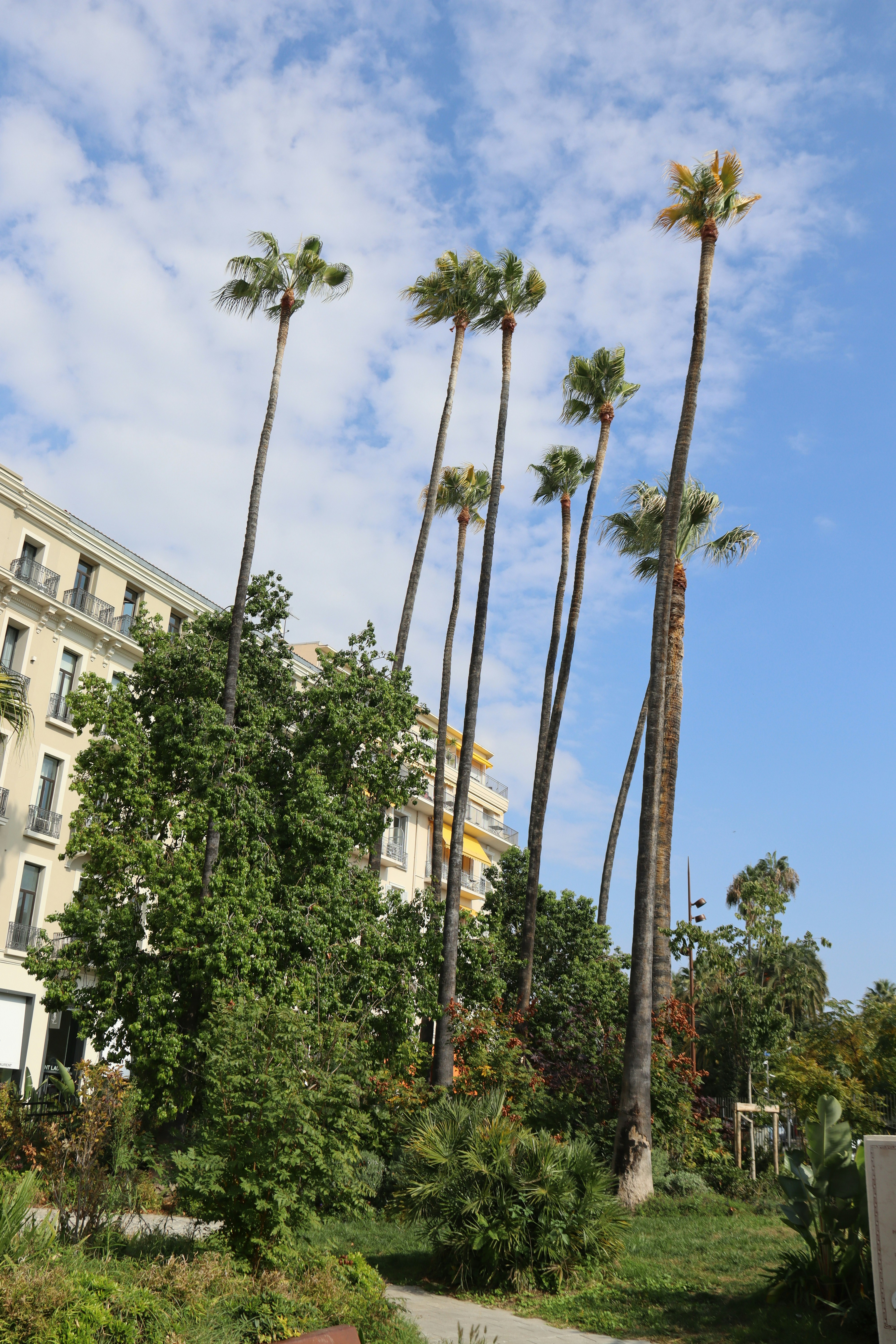 Photo by shalevcohen