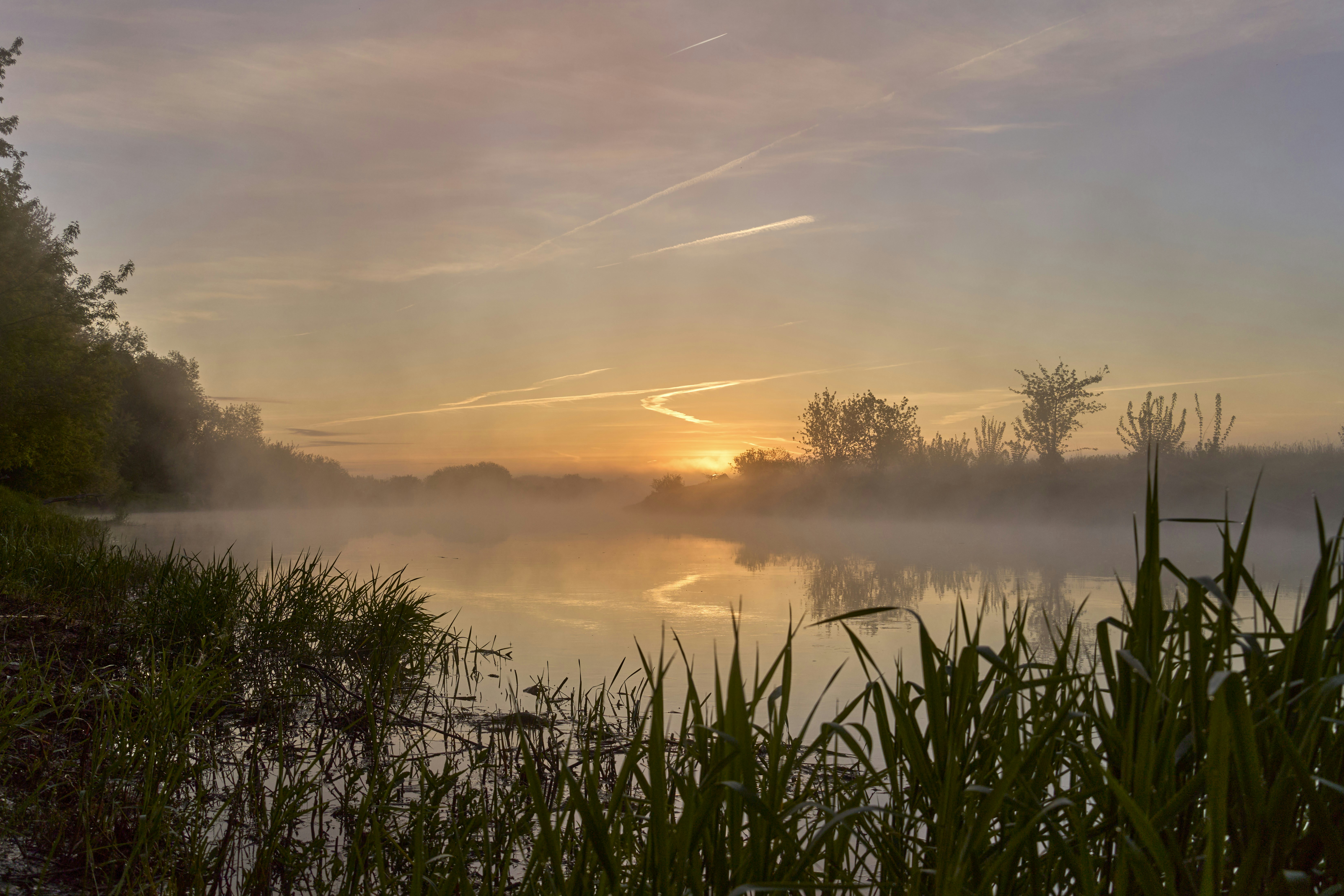 Photo by wolfgang_hasselmann