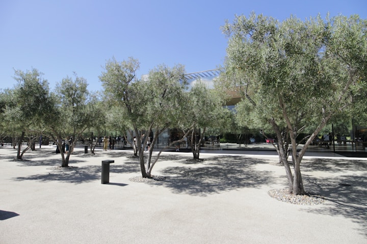 International Technological University