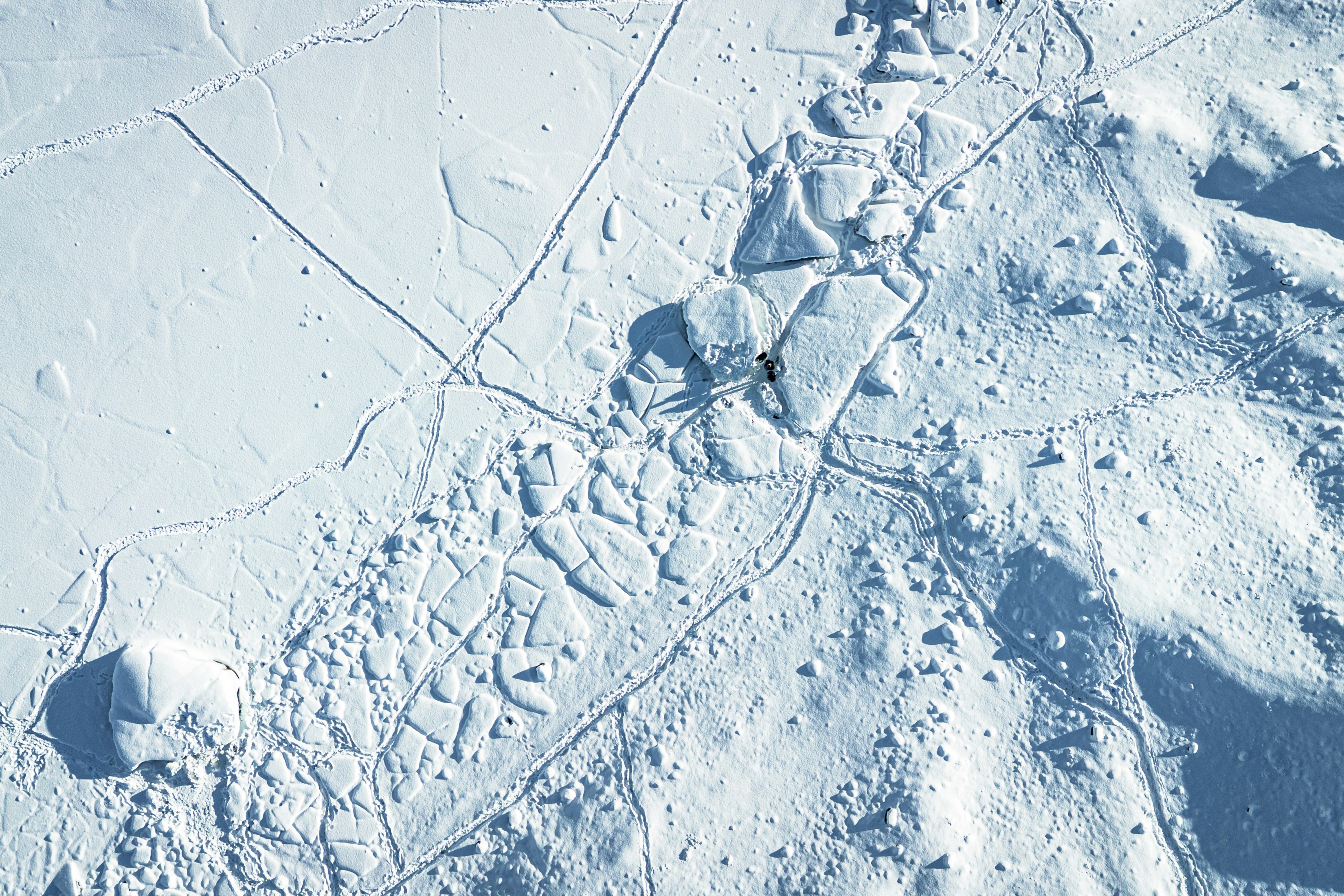 Photo by somewherewithtom