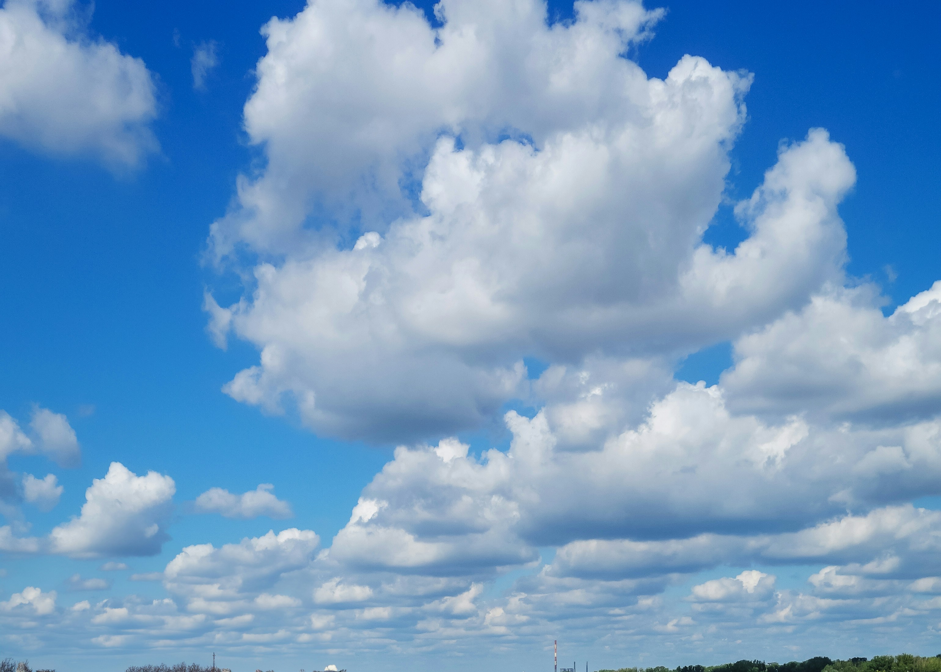 Photo by joanna_stolowicz