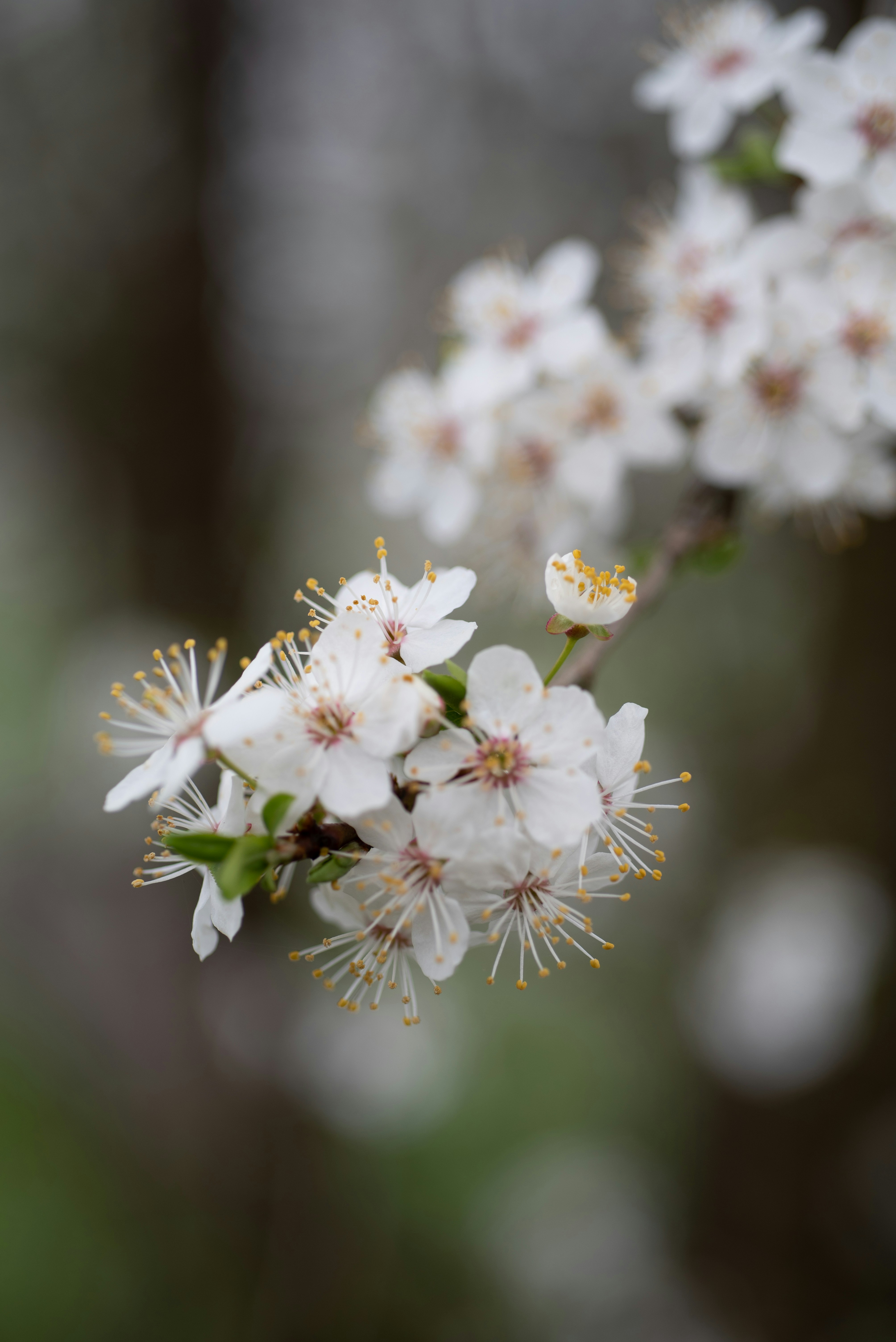 Photo by joanna_stolowicz