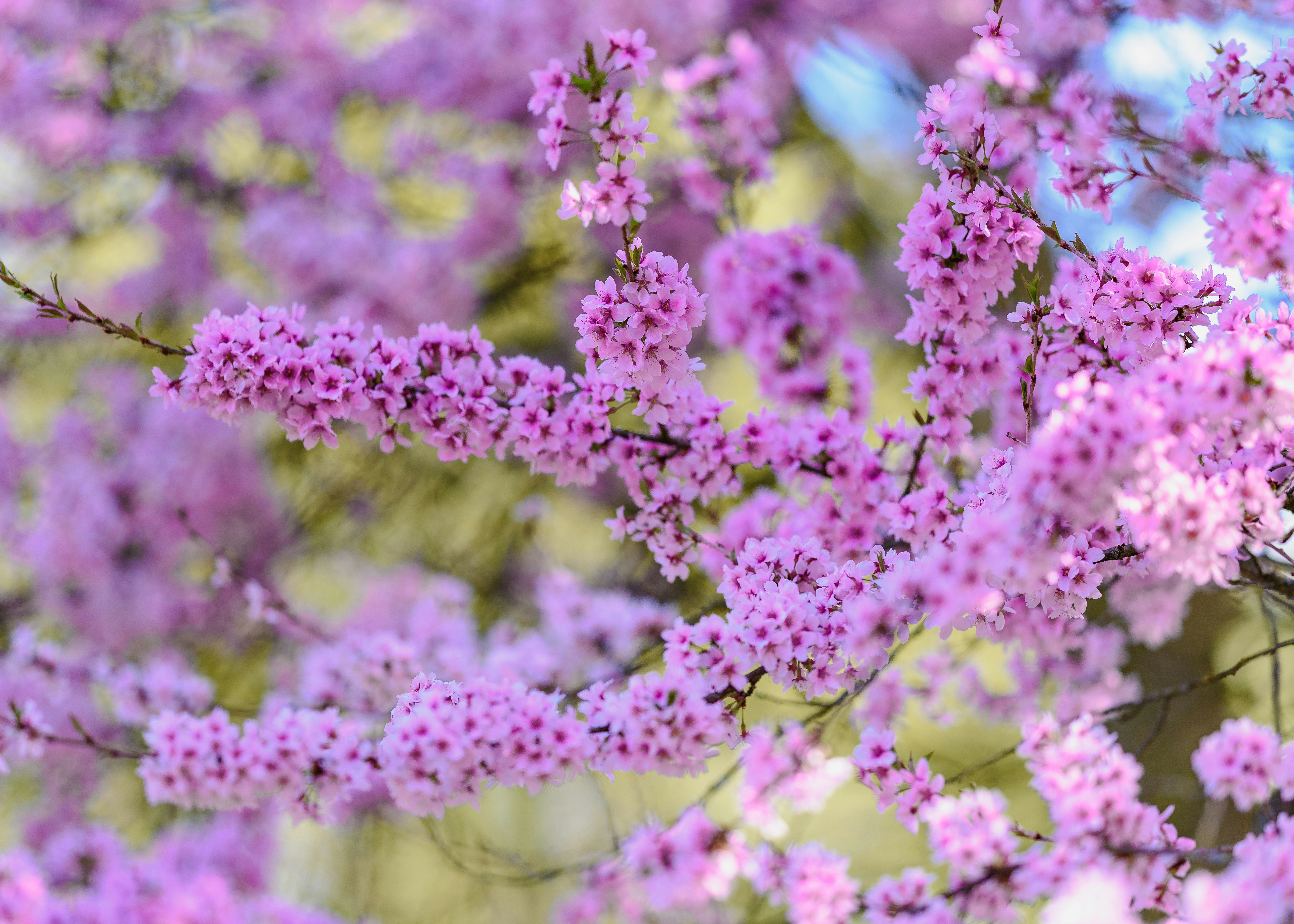 Photo by joanna_stolowicz