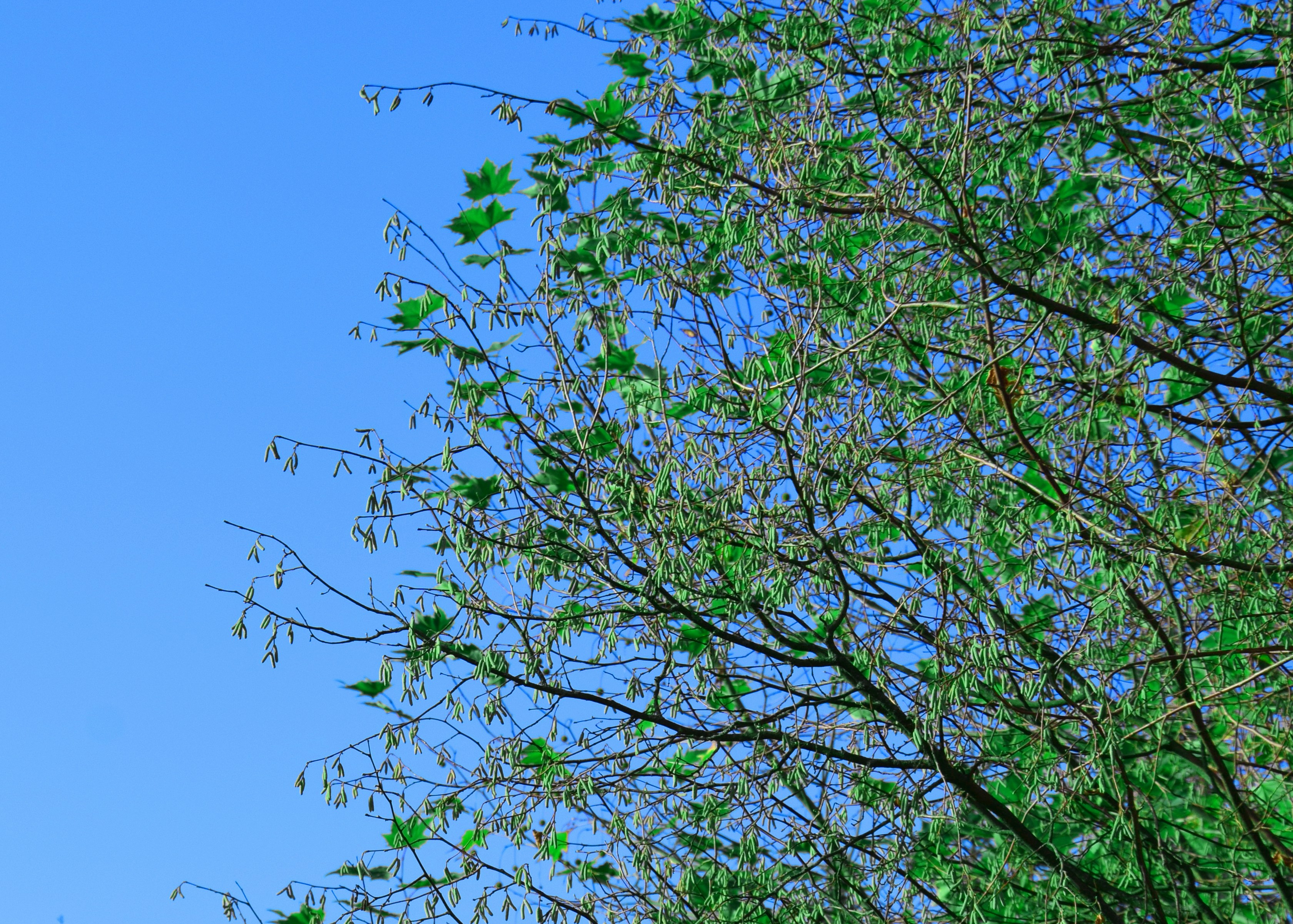 Photo by joanna_stolowicz