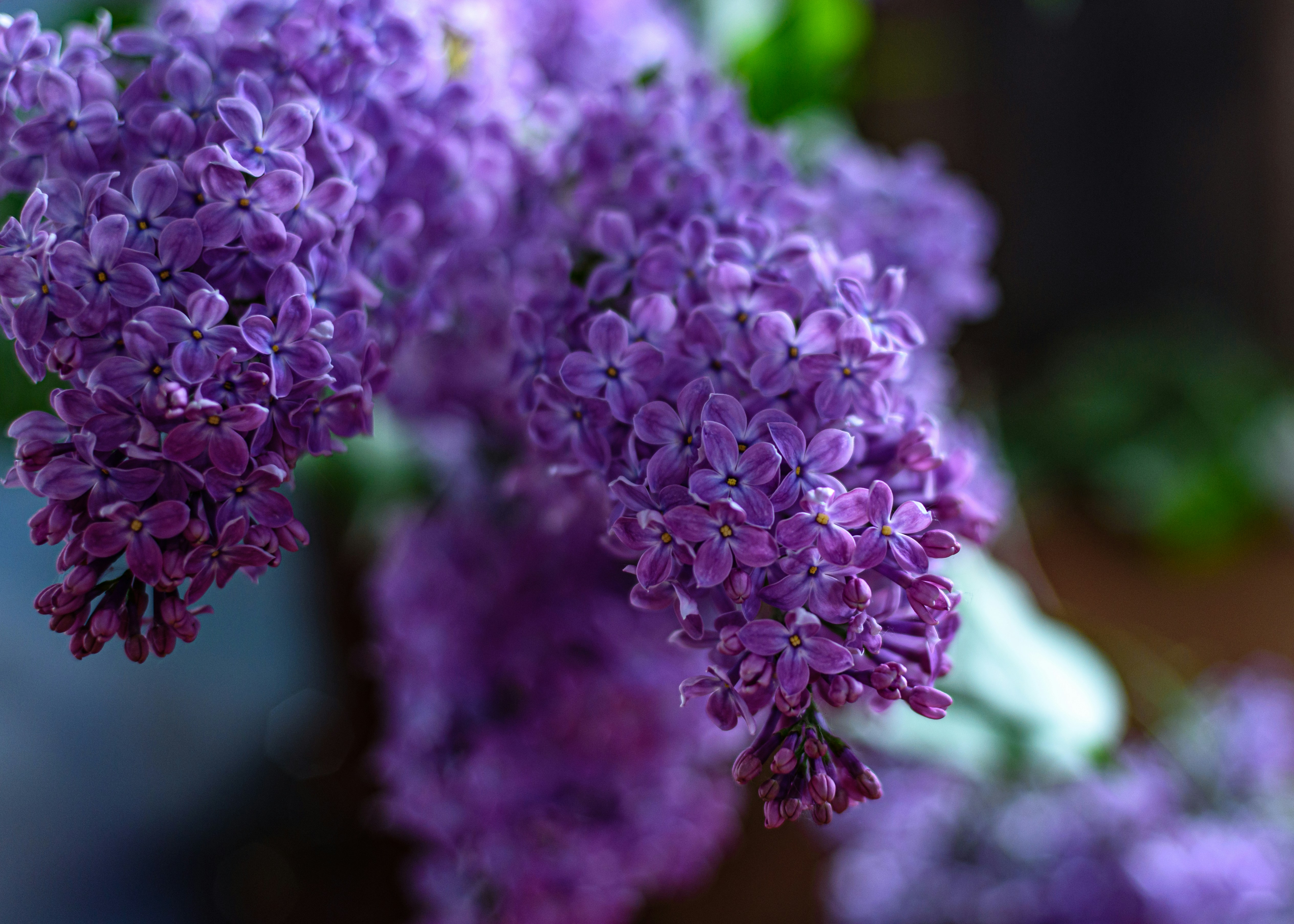 Photo by joanna_stolowicz